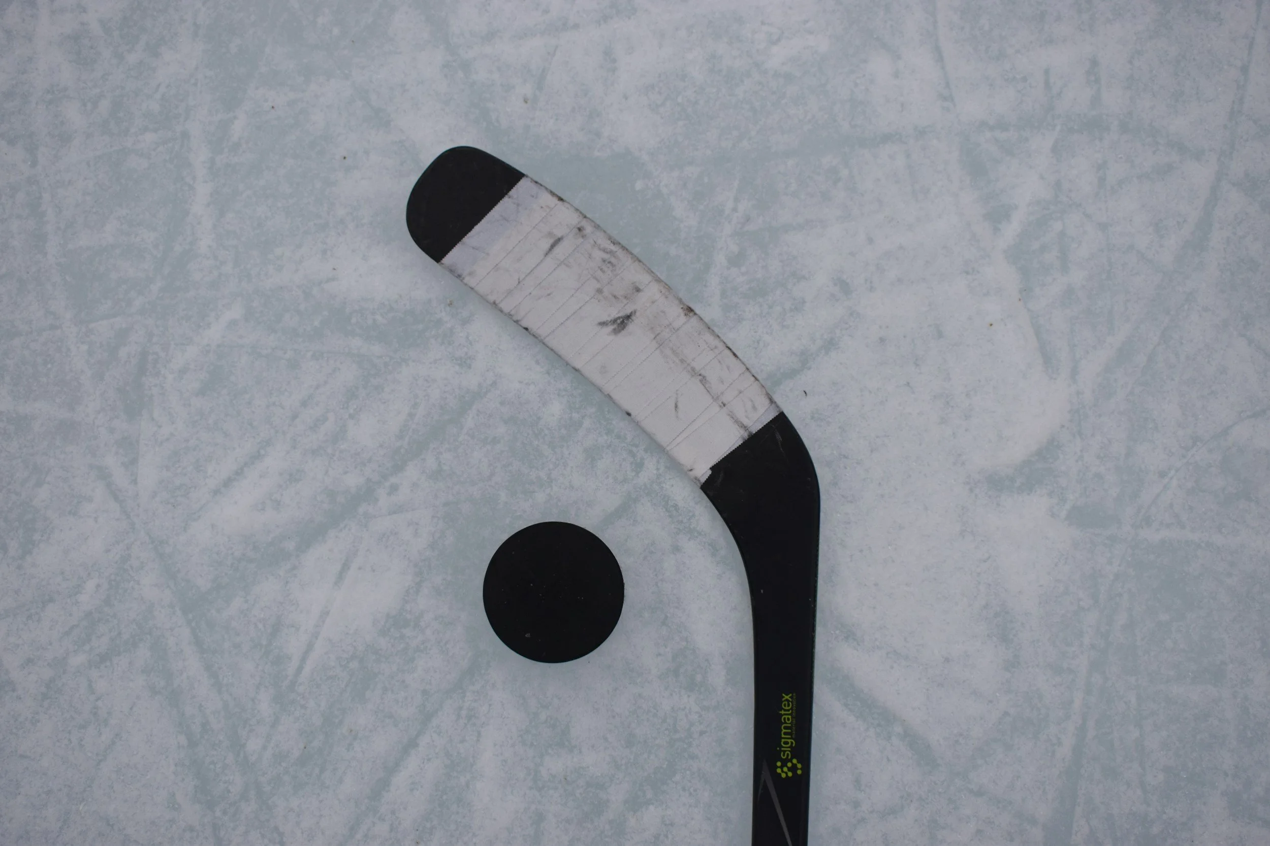 Physiotherapy in Hockey
