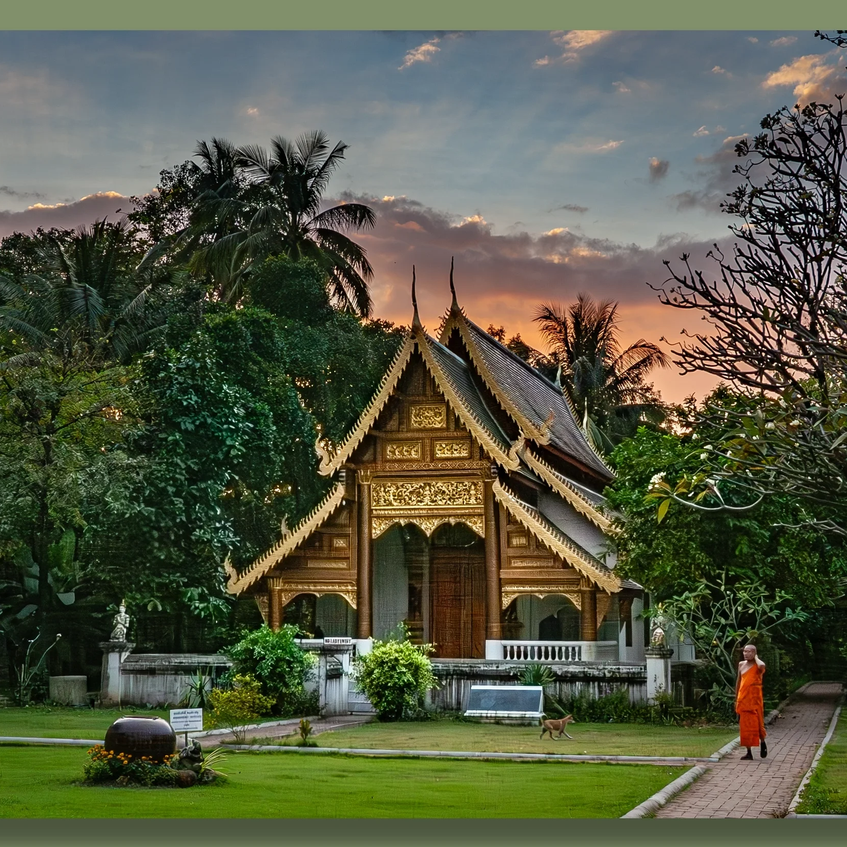 A traditional Thai temple with intricate wooden architecture sits amidst lush greenery at sunset. A monk dressed in orange robes walks on a paved path near the temple, with a dog nearby. The sky displays a mix of clouds and warm colors as the sun set