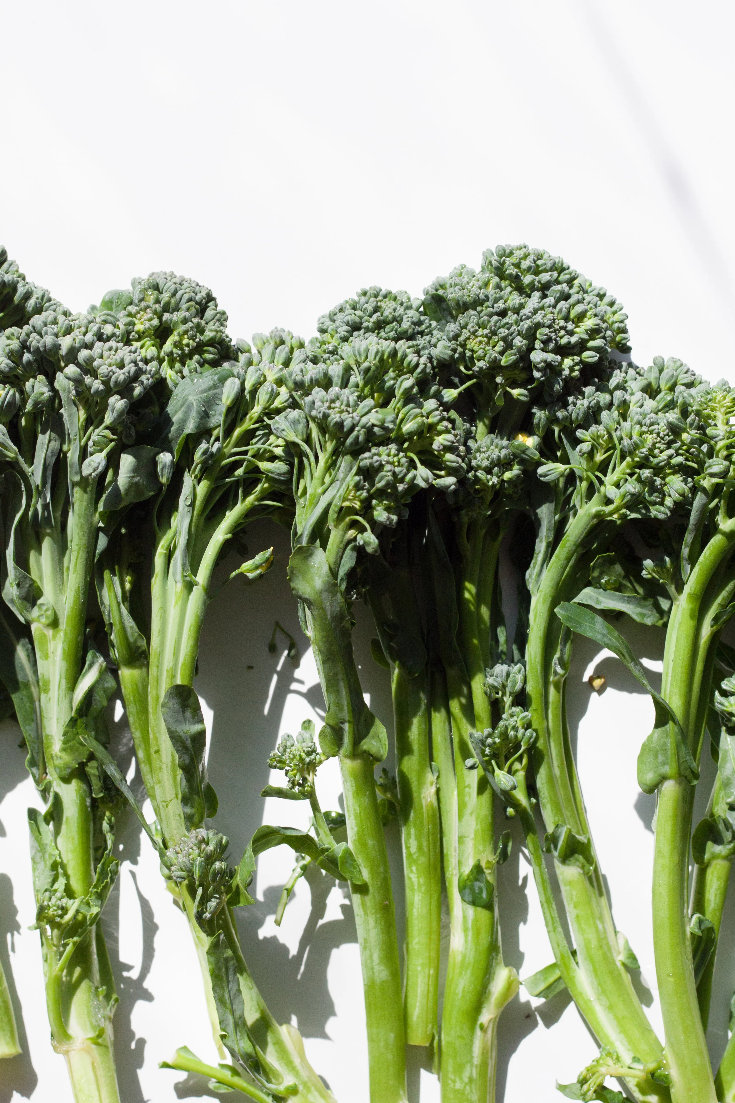 untitled (3 of 12).jpg