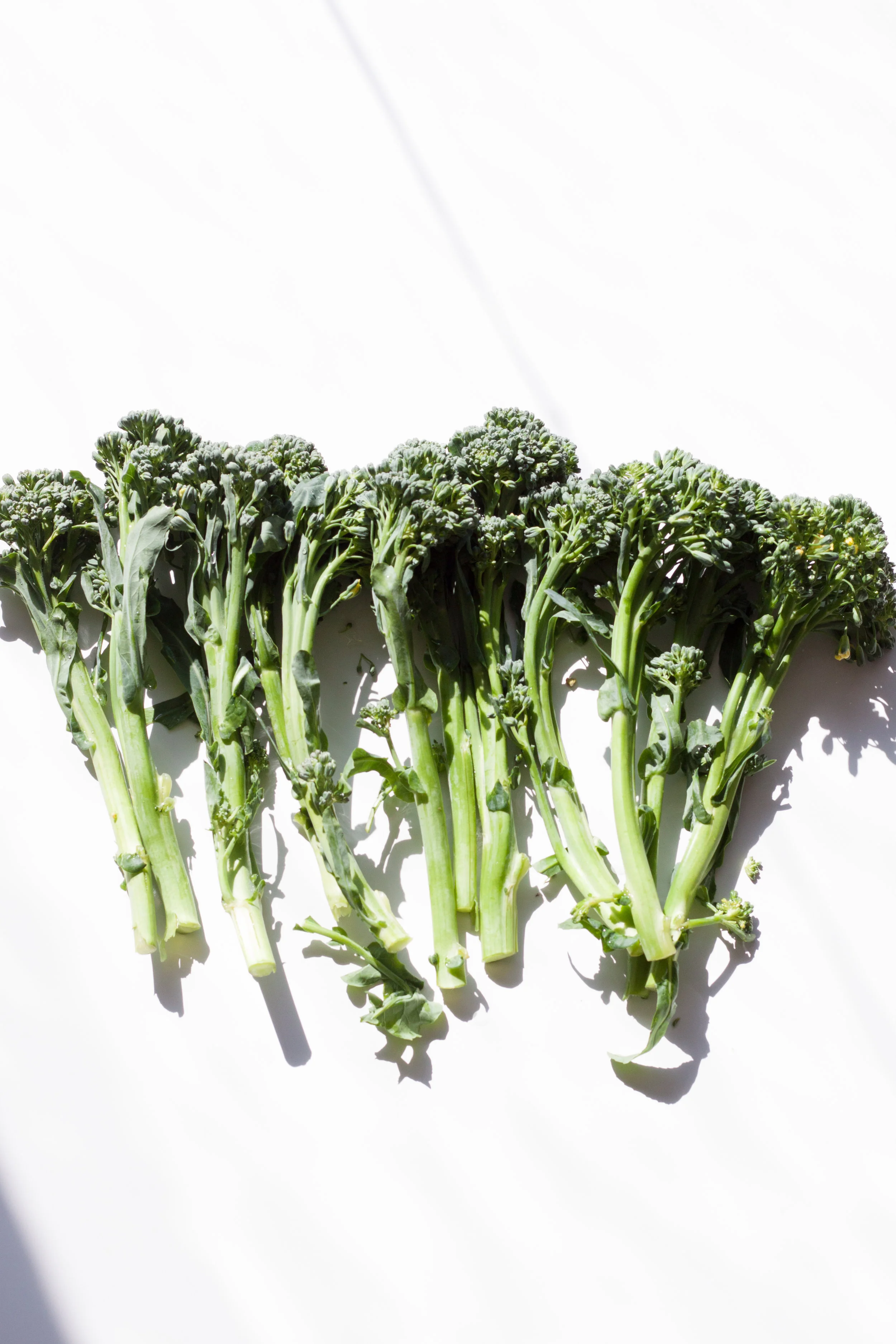 untitled (4 of 12).jpg