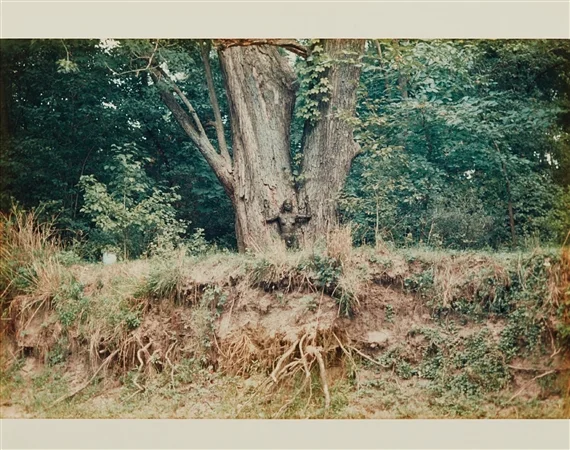 Ana Mendieta, Silueta Works in Iowa, 1976-1978. Copyright the Estate of the Artist. Courtesy Richard Saltoun Gallery.