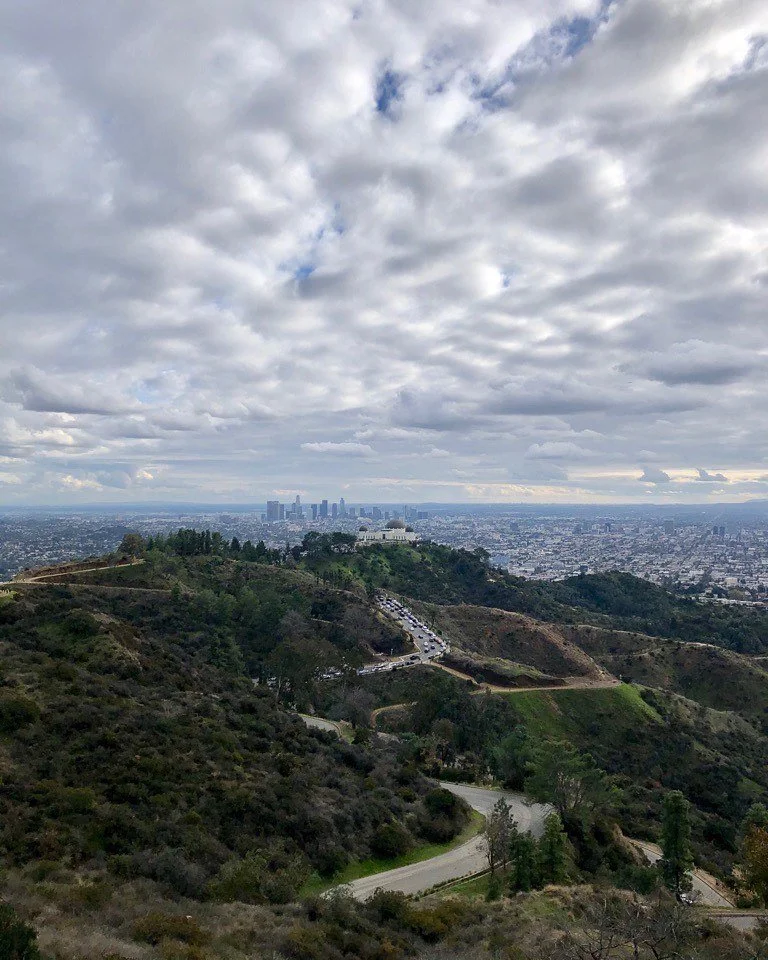 I have been experiencing a lot of physical and cognitive dissonance over the past few days. Los Angeles, the city in which I grew up and where my parents still live, is burning. Asheville has settled into winter, barren and still ravaged by the flood