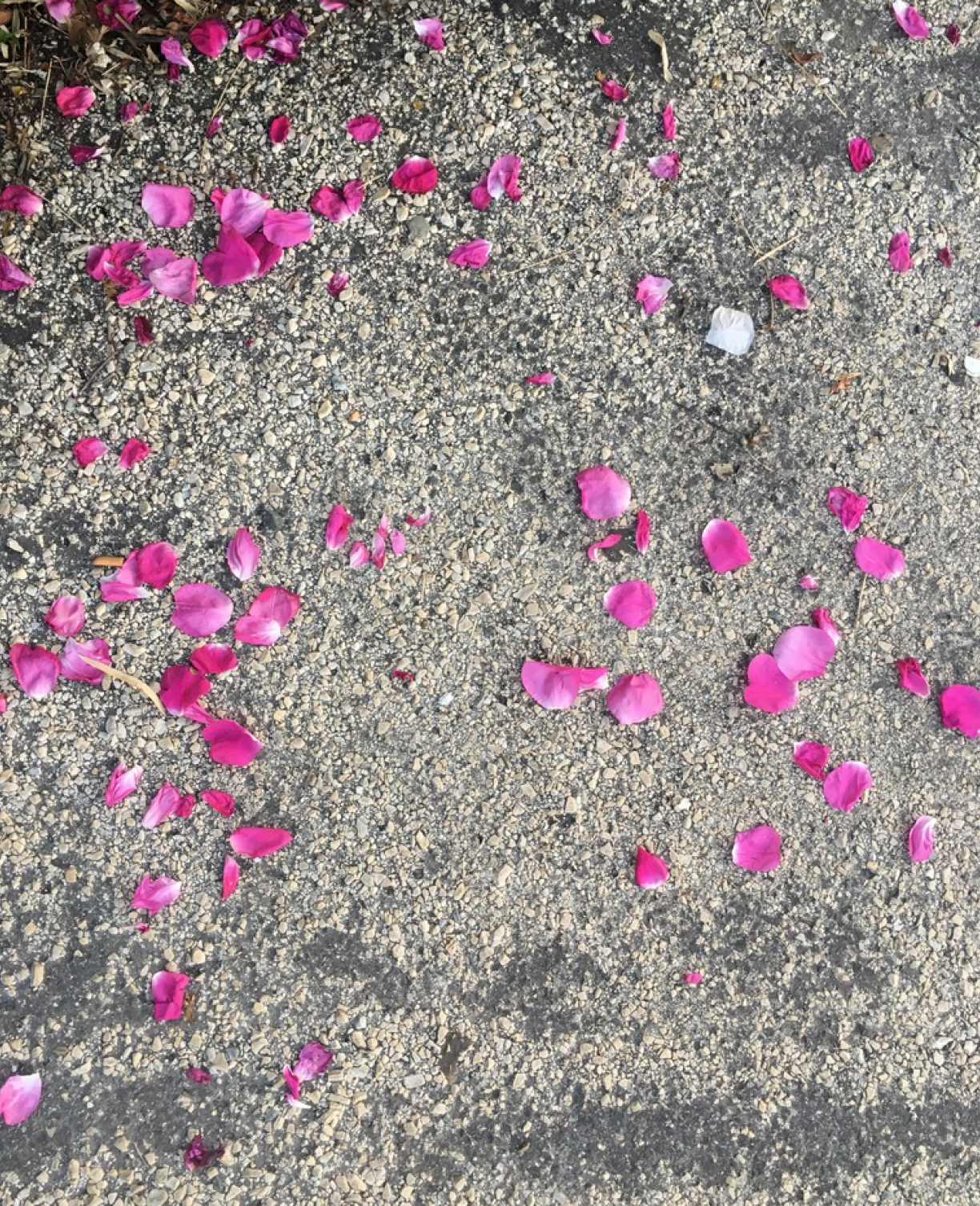 On Letting Yourself Have What You Need