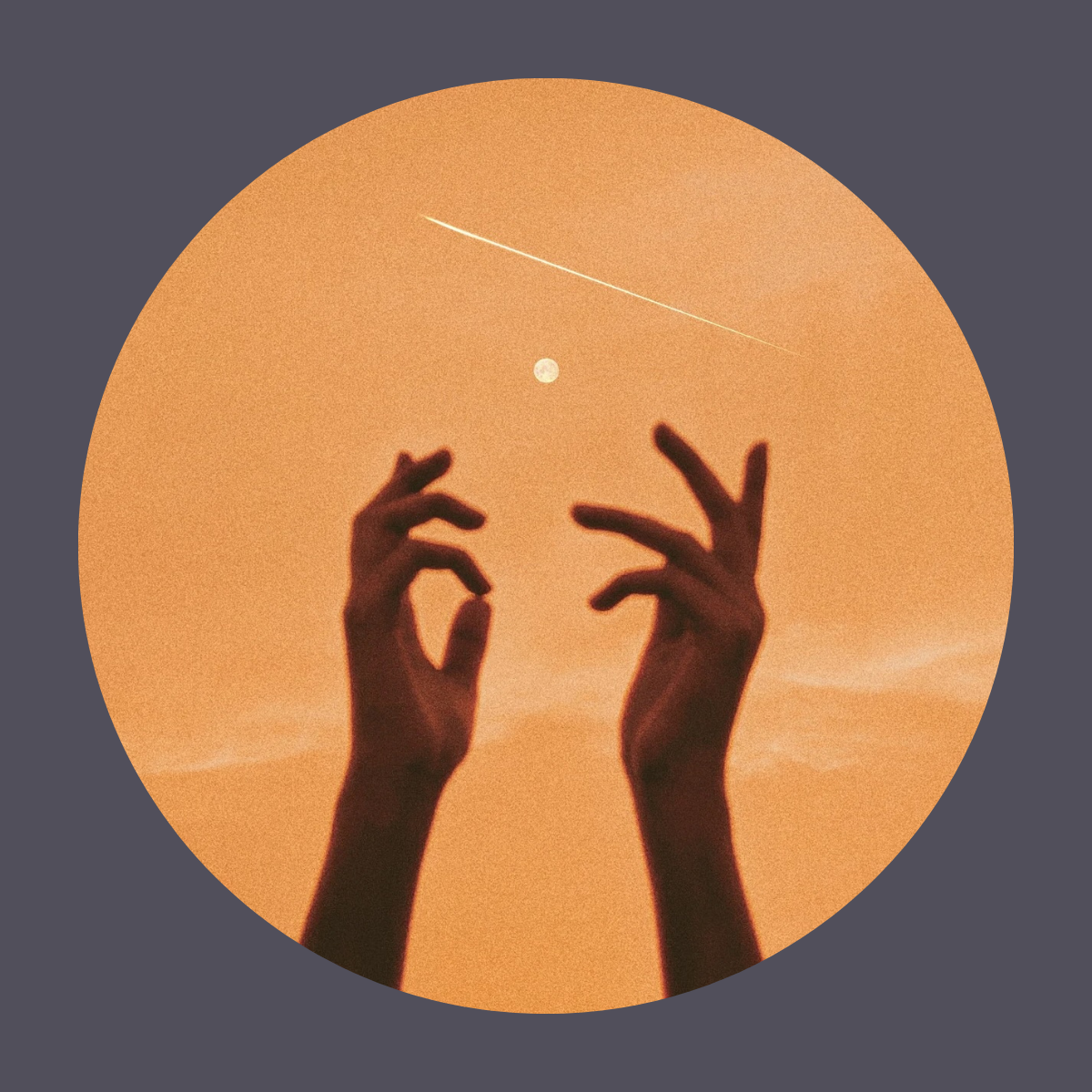 Somatic Coaching_Purchase_Icon.png