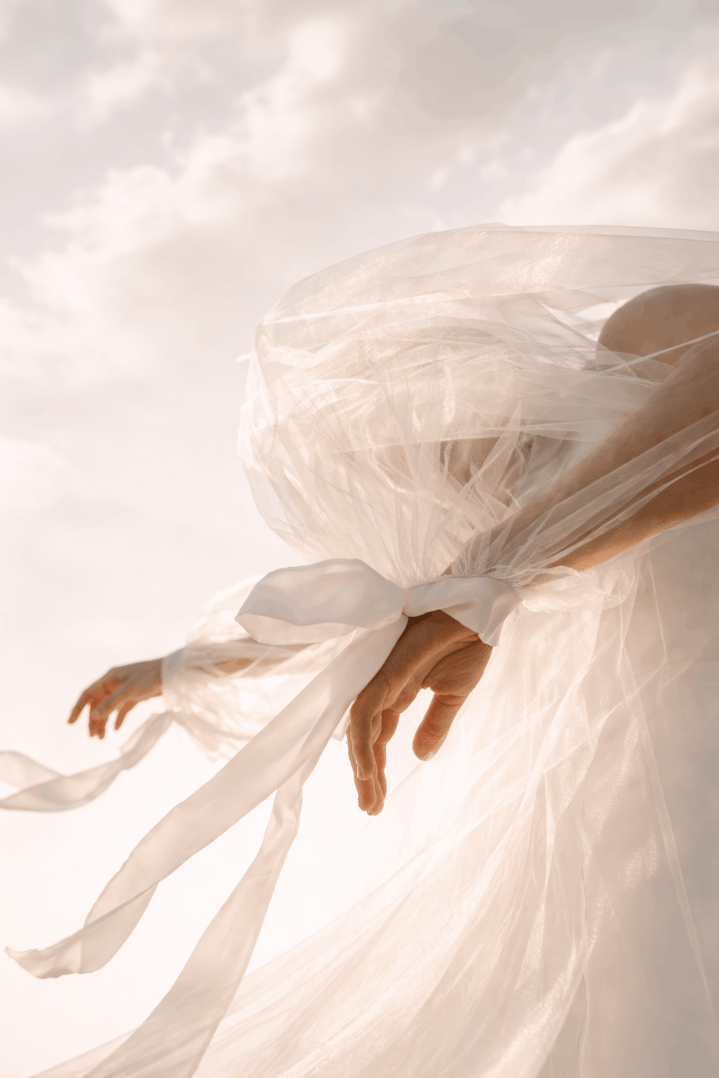 The Spirit of Life - Music - Transcended Master