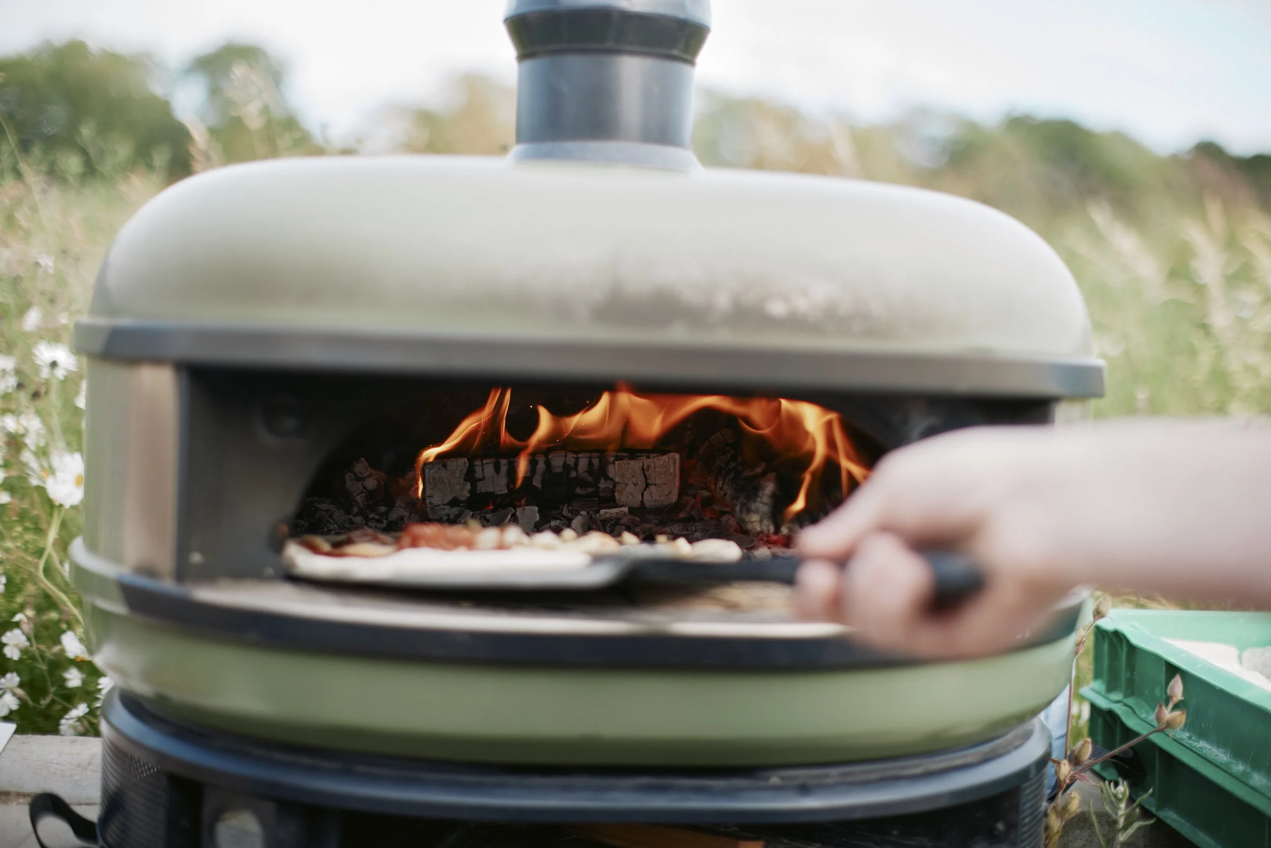 Wood fired pizza oven