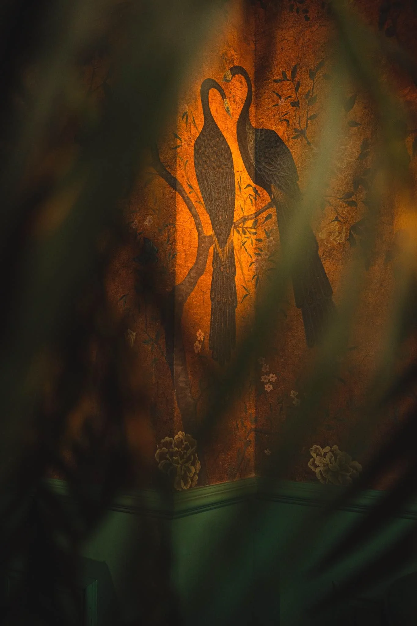 CHIN CHIN_FOOD_by fabian calis_22-09-2022_-03287_5_11zon.jpg