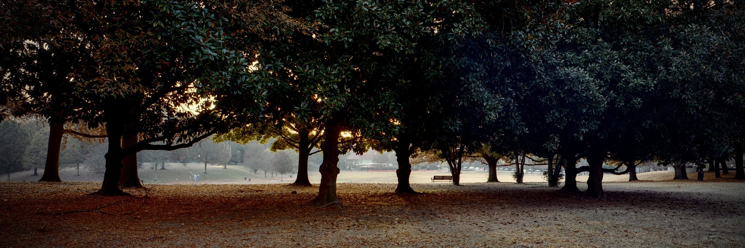 Fujinon-SW 90mm f/8 on Kodak Portra 800