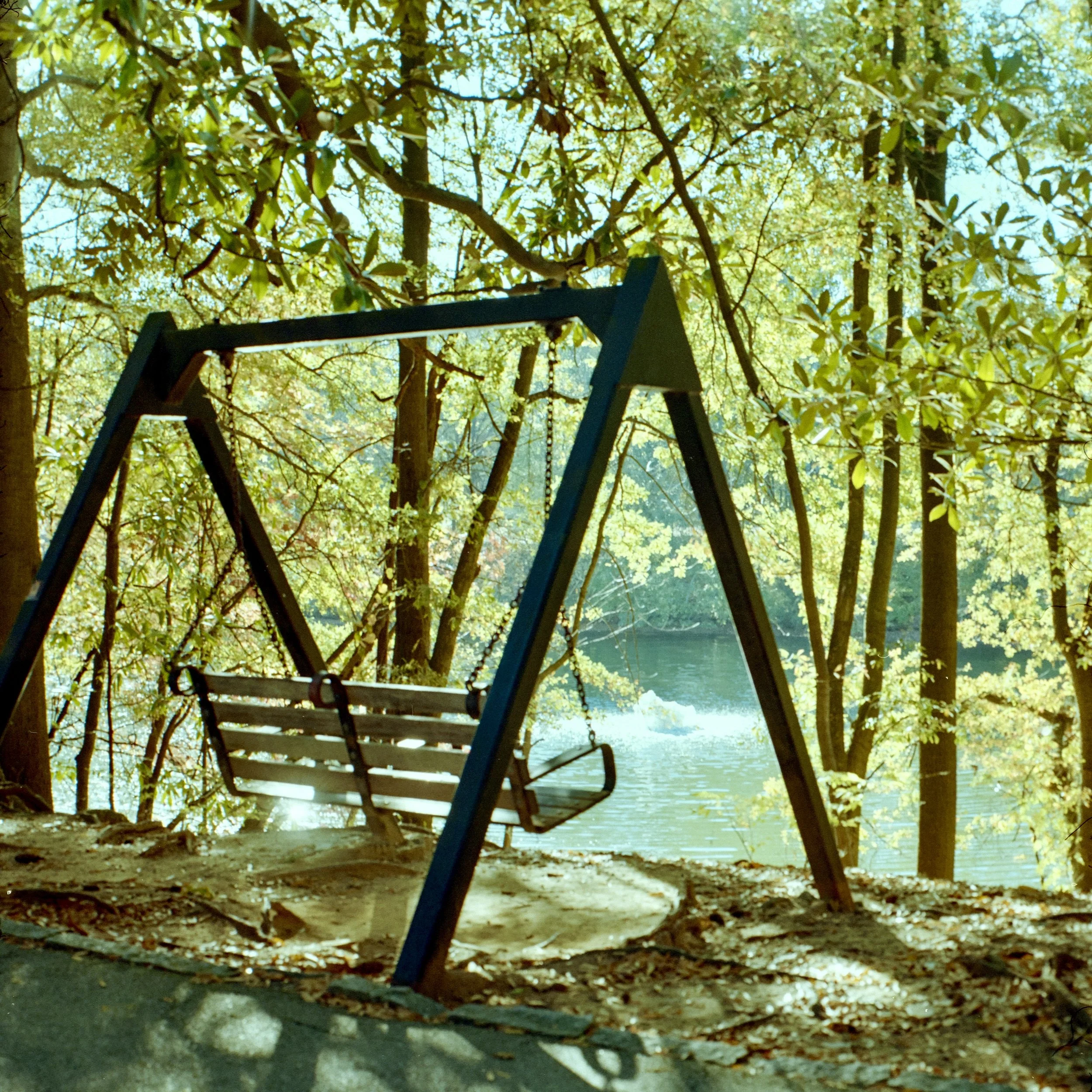 Schneider Kreuznach Super Angulon 90mm f/8 on Kodak Gold