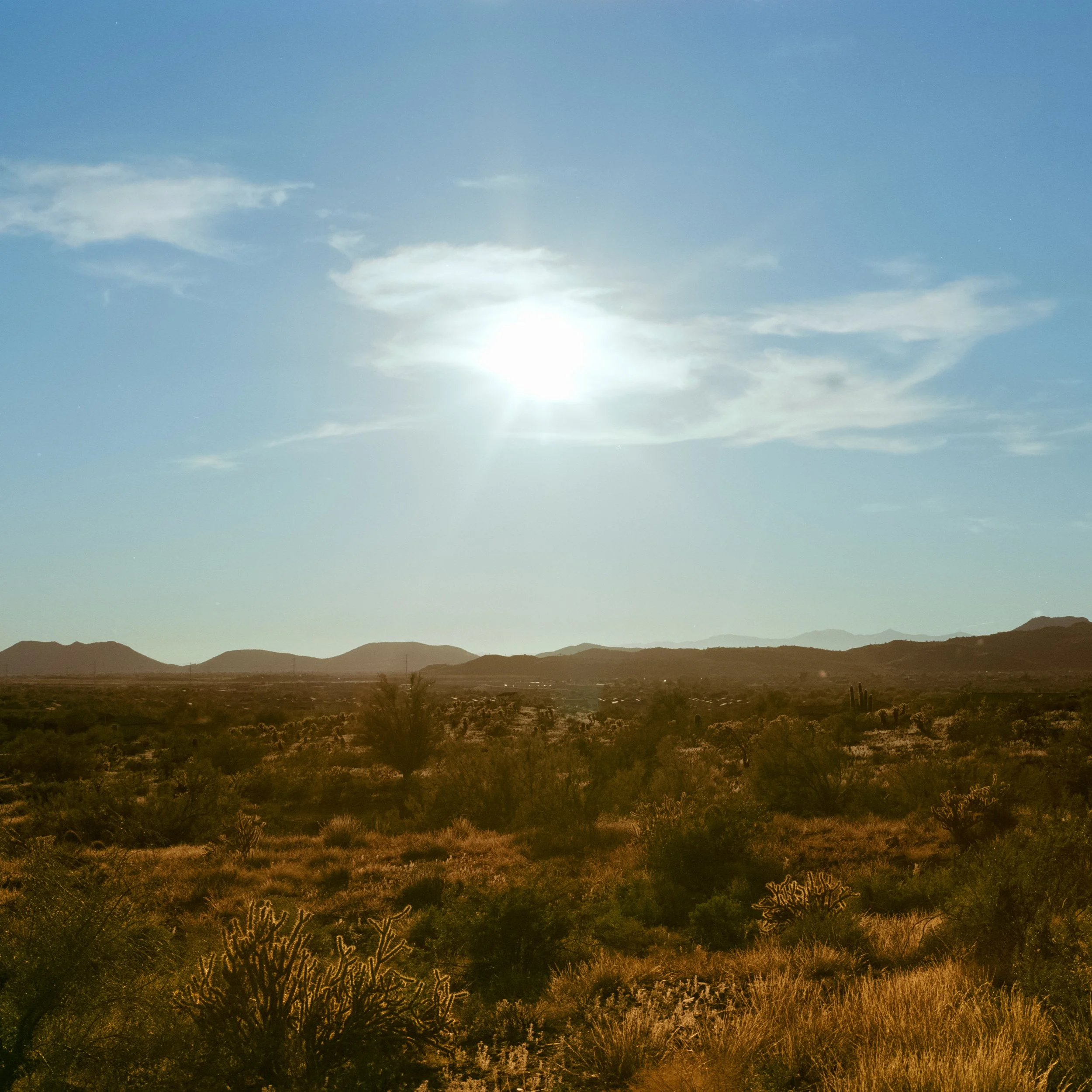 Fujinon-SW 90mm f/8 on Portra 400