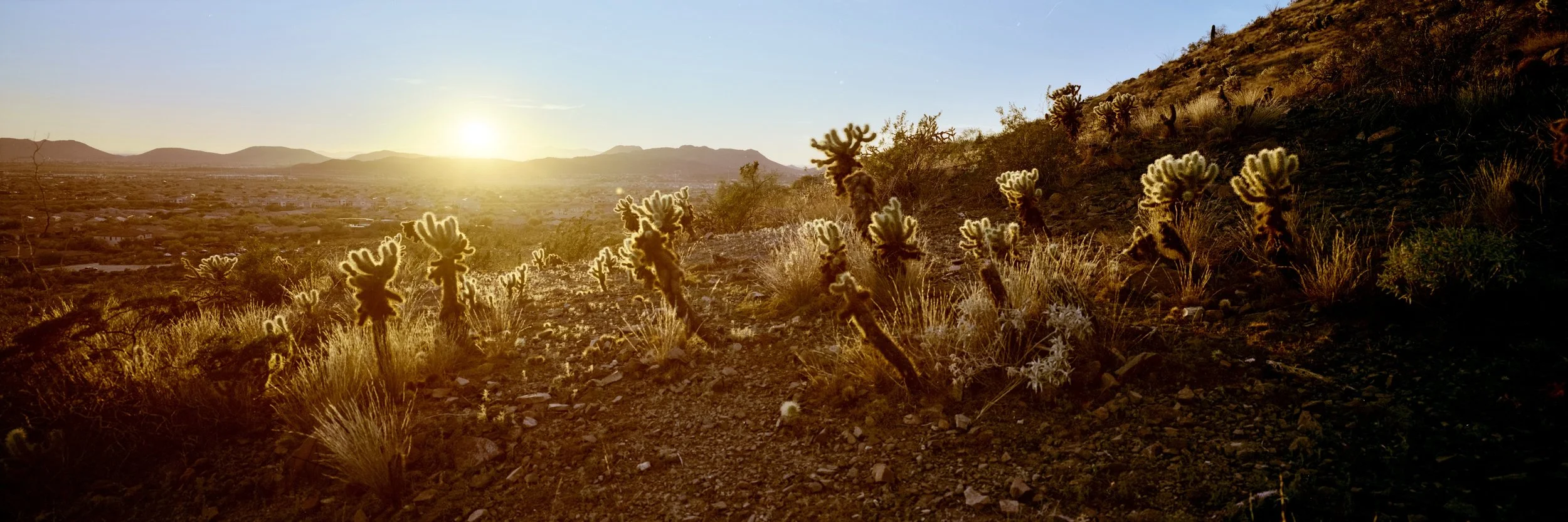 Fujinon-SW 90mm f/8 on Kodak Portra 400