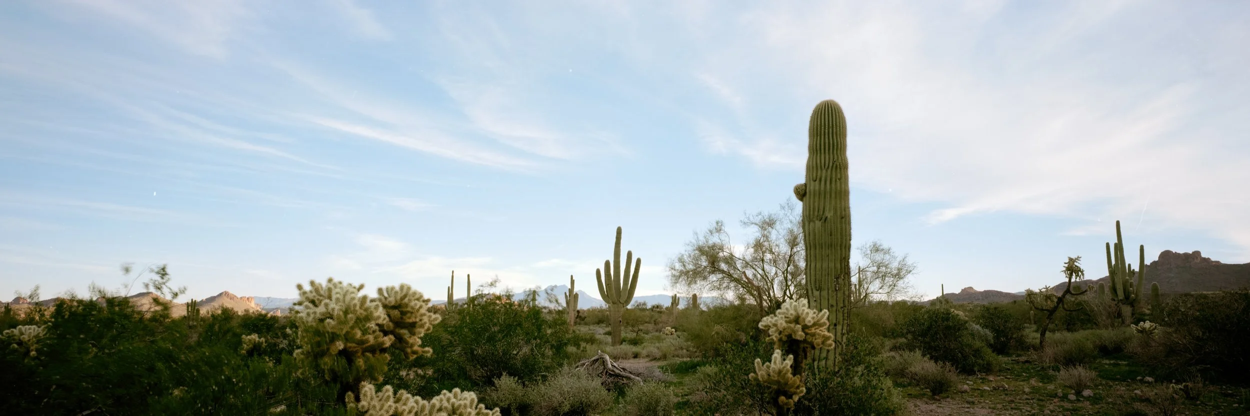 Fujinon-SW 90mm f/8 on Kodak Ektar