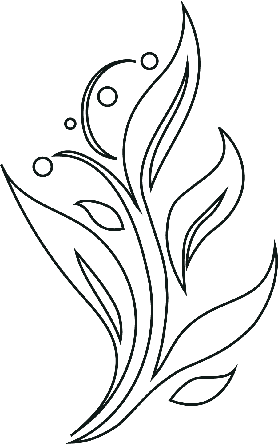 A simple line art illustration of a plant with leaves and small round berries or flowers on a black background.