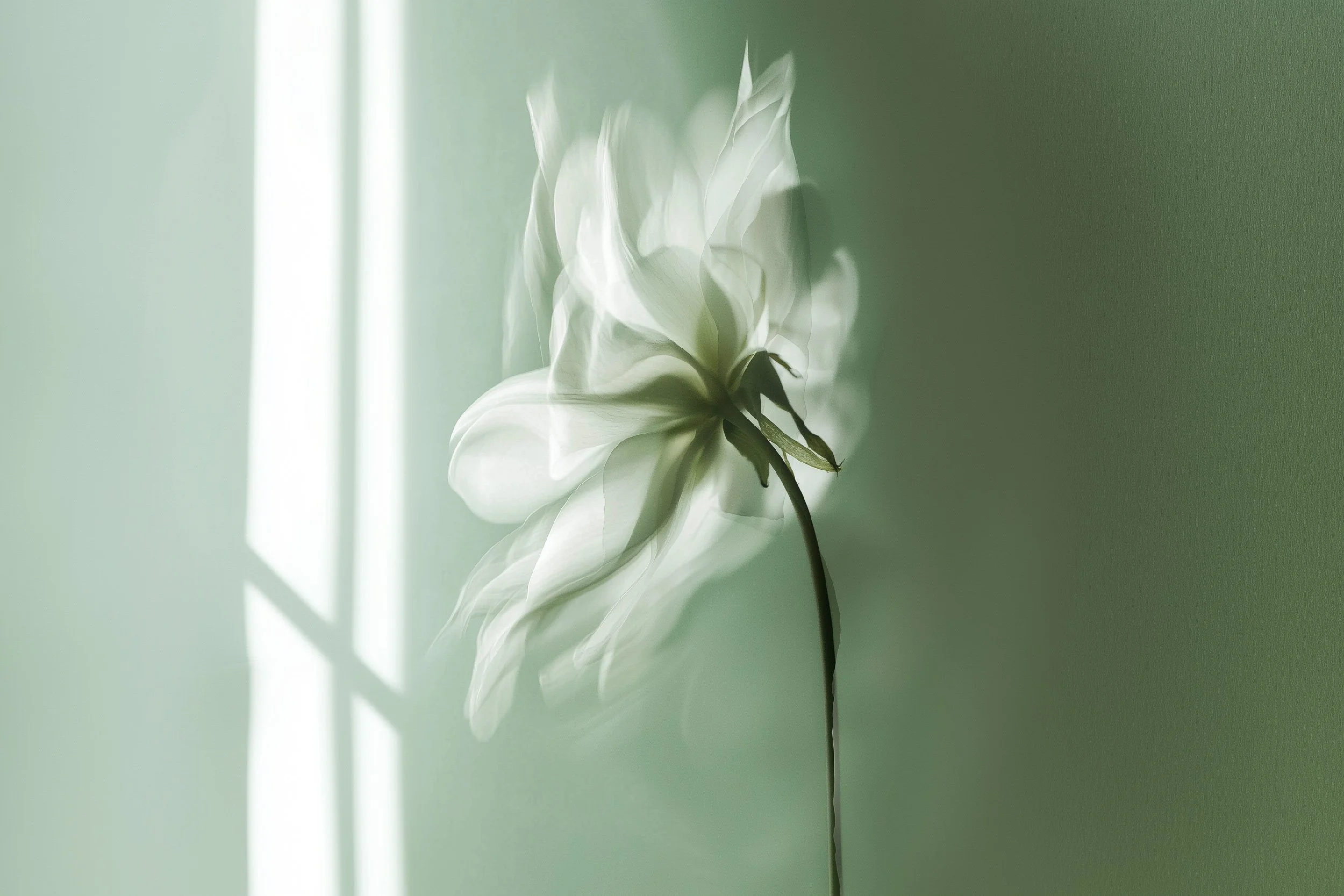 Managing Stress Through Hypnotherapy