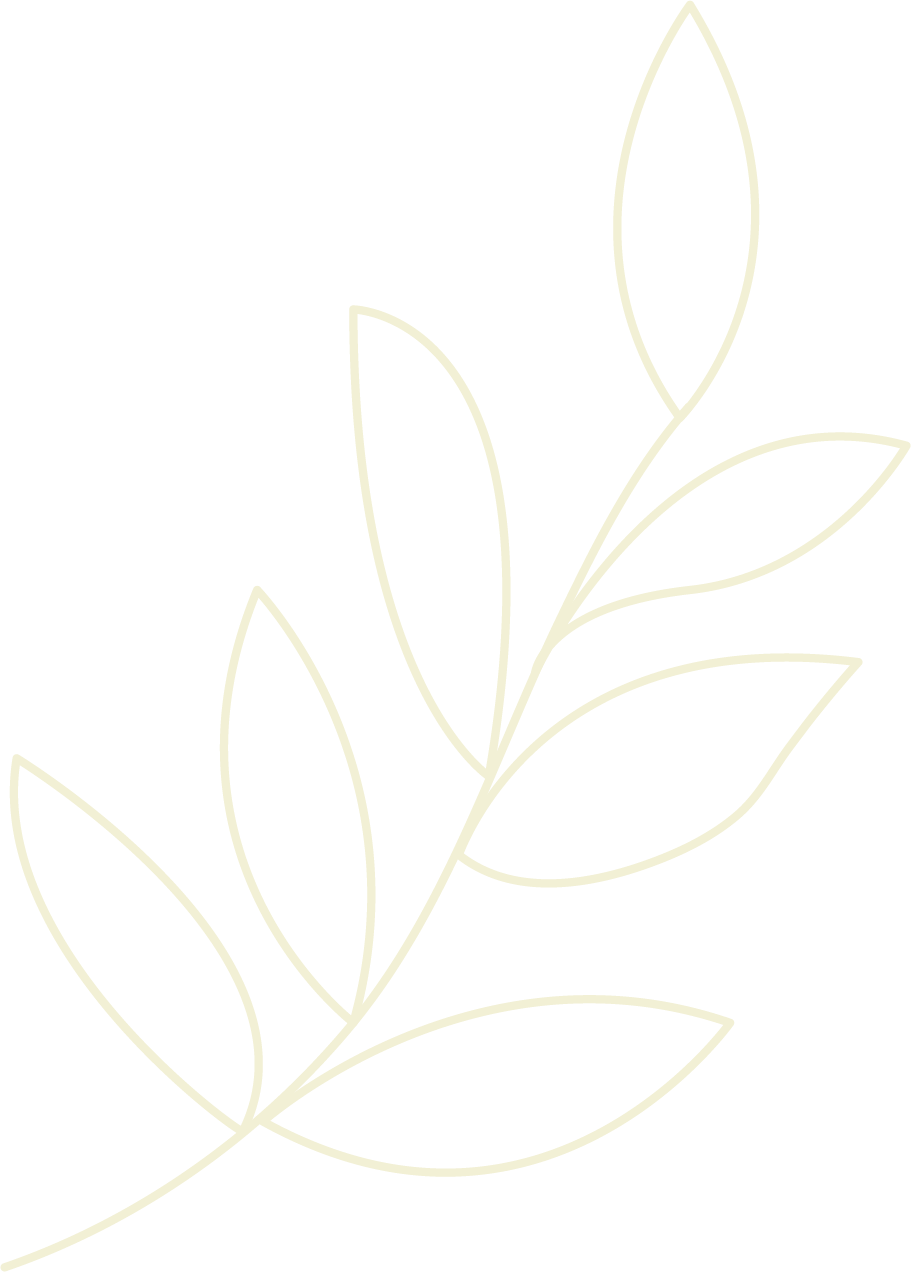 A black background with a simple, white, outline drawing of a branch with several elongated leaves.