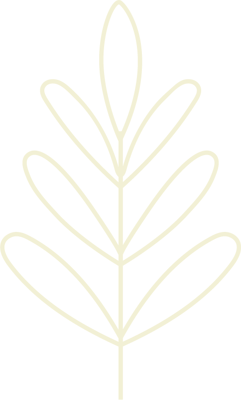 Outline drawing of a leaf with multiple elongated leaves branching from a central stem, on a black background.