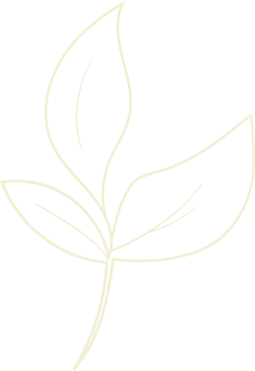 Outline of a simple leaf with a curved stem on a black background.