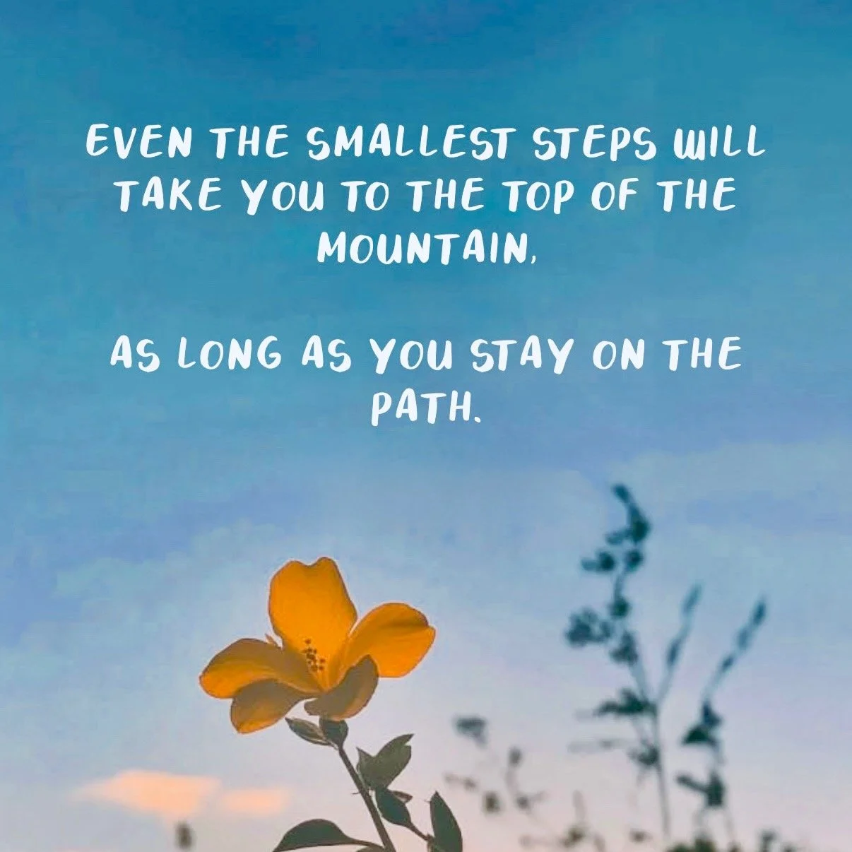 #SmallStepsBigDreams
#stayonthepath
#eventhesmalleststeps
#mountaintopmindset
#PerseverancePaysOff
#onestepatatime
#growthmindset