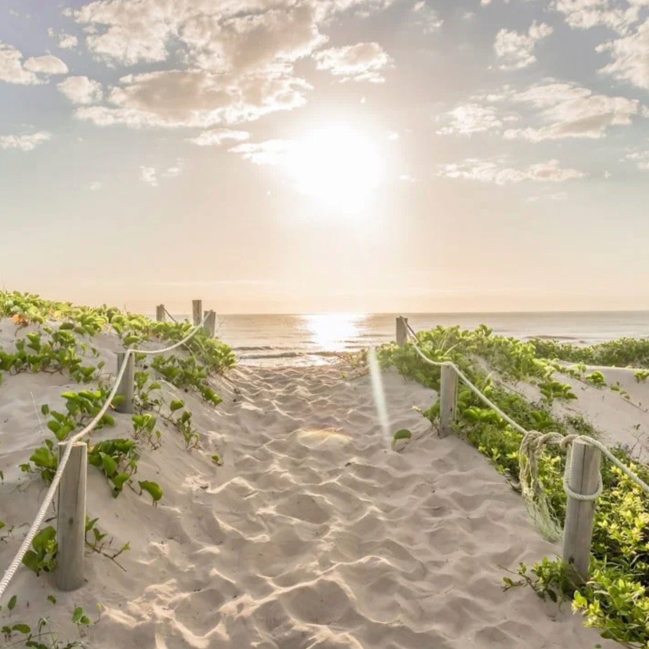 Learning how to be present in the moment can change how we experience life. When we slow down and notice the beauty around us, we create space for gratitude, connection, and optimism. Read the full post by following the link to my profile. 👉🏼#mindf