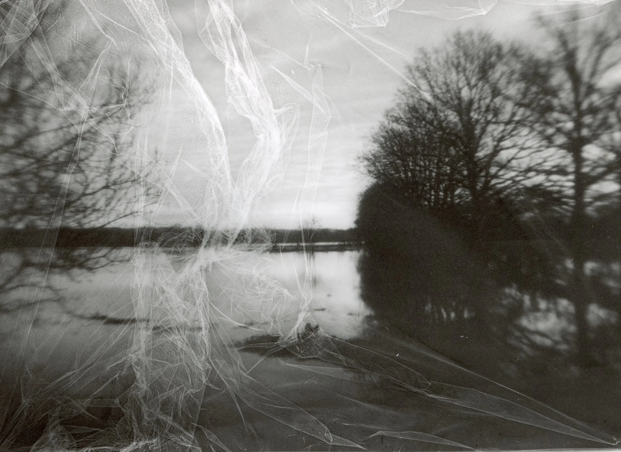 Vue à travers une vitre cassée avec des arbres et un étang en arrière-plan.