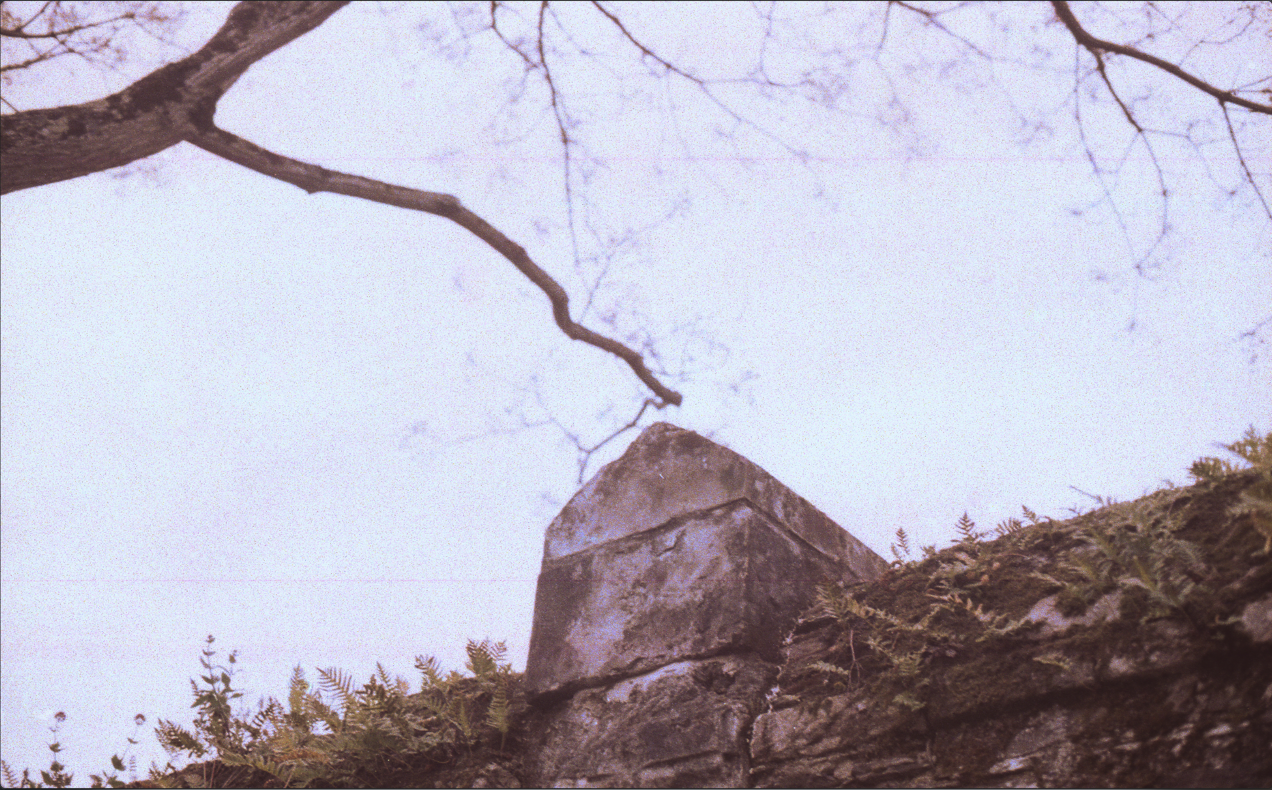 Capture d’écran 2026-01-16 à 12.31.09.png