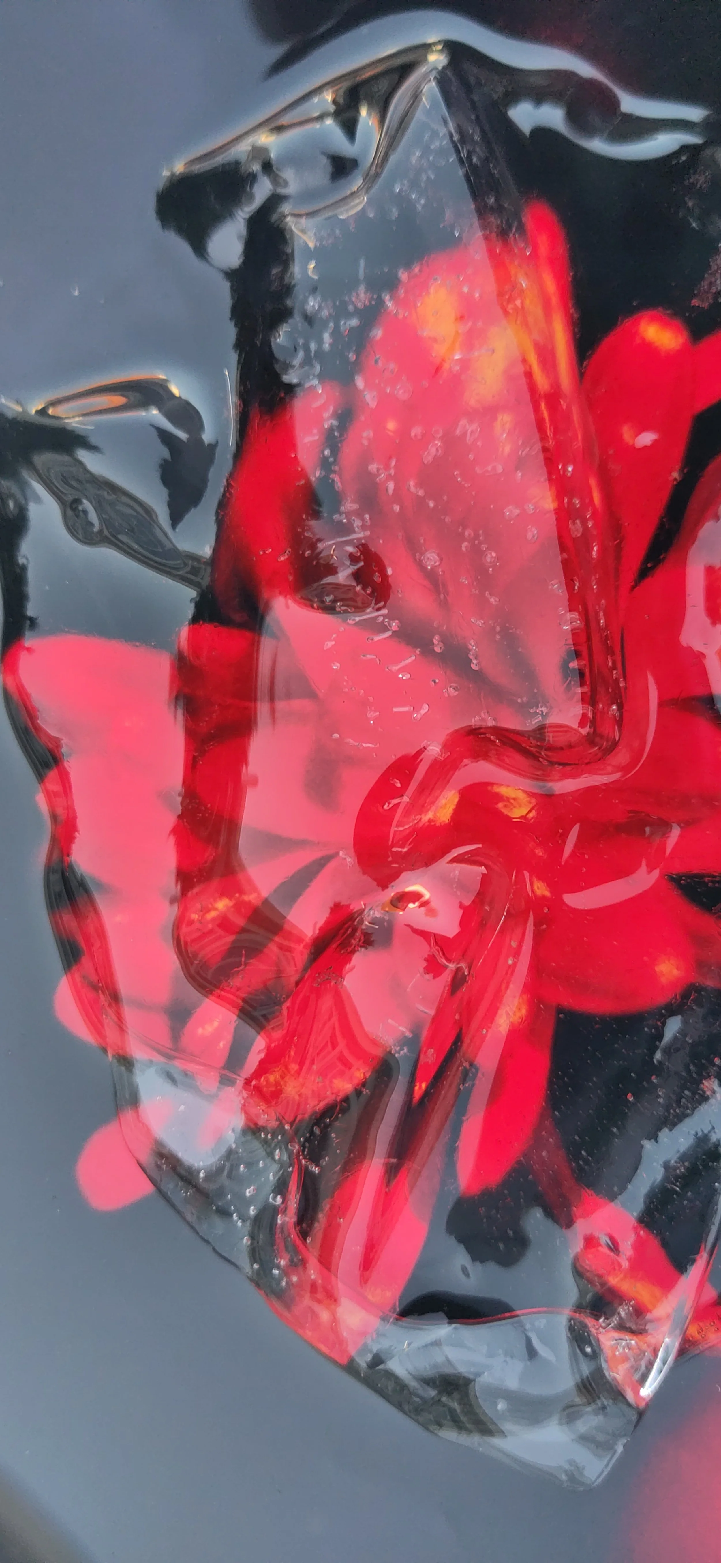 Une fleur rouge à l'intérieur d'une boule de glace ou de plastique, avec un fond sombre.