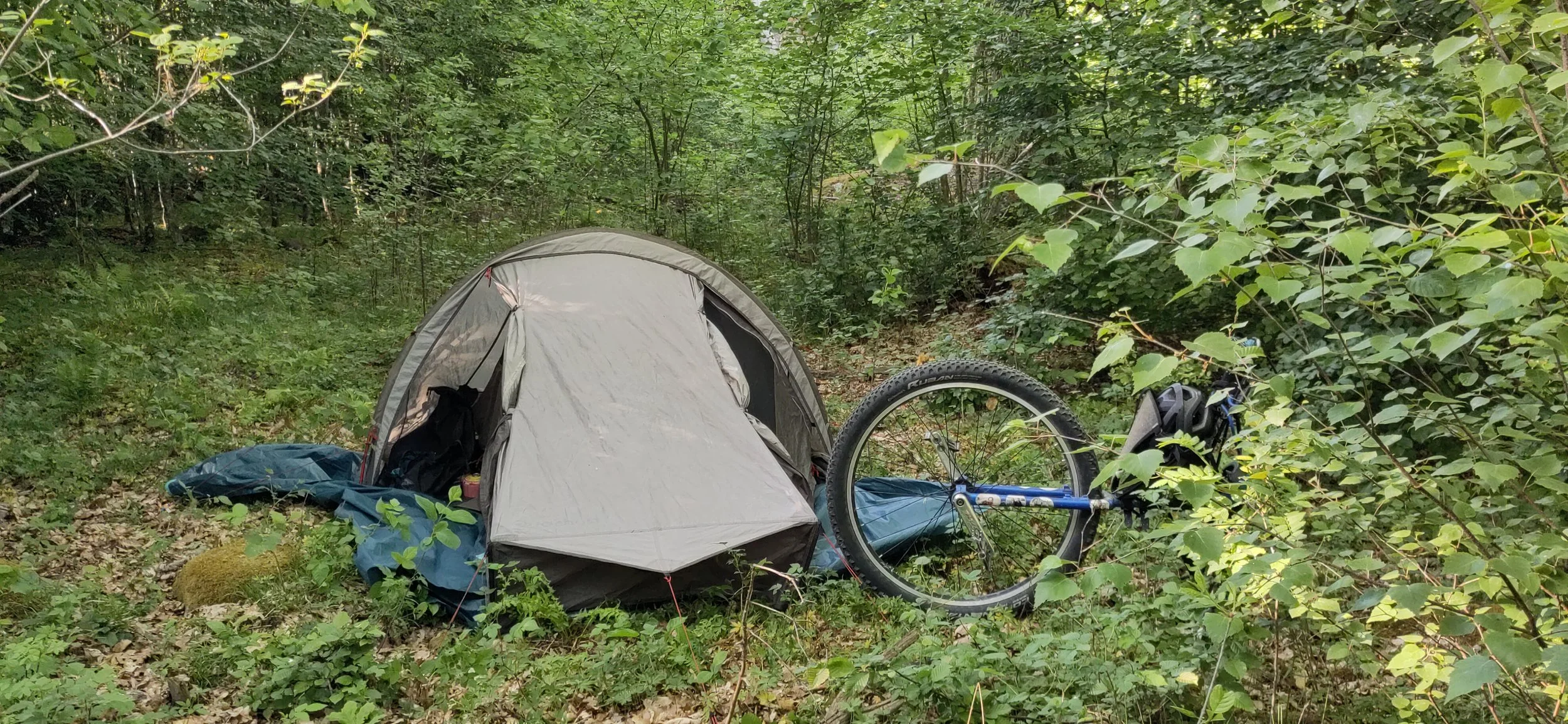 Tente et monocycle dans une forêt verdoyante.