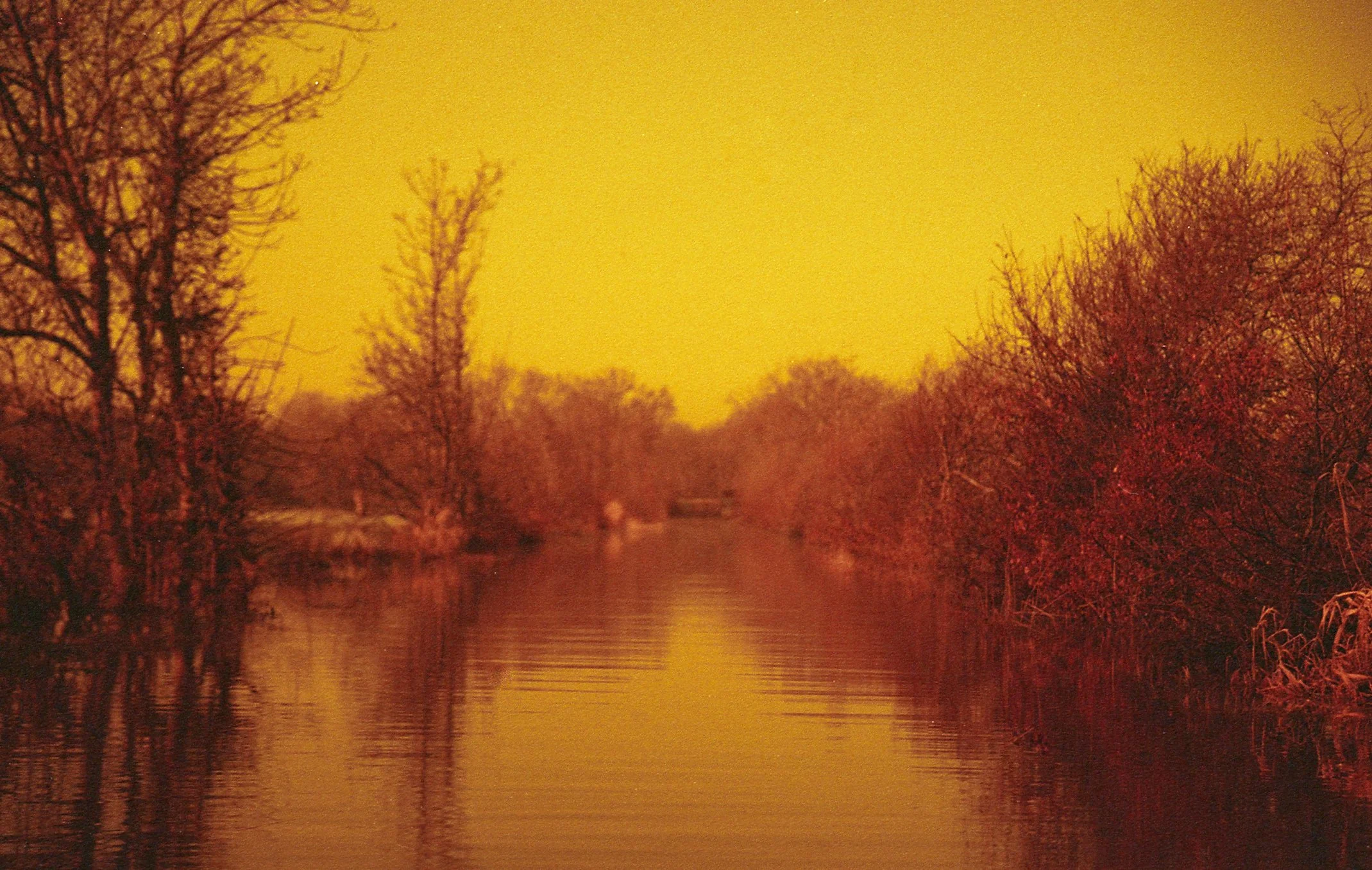 Une route inondée formant un lac bordée d'arbres dénudés au crépuscule, avec un ciel orange vif.