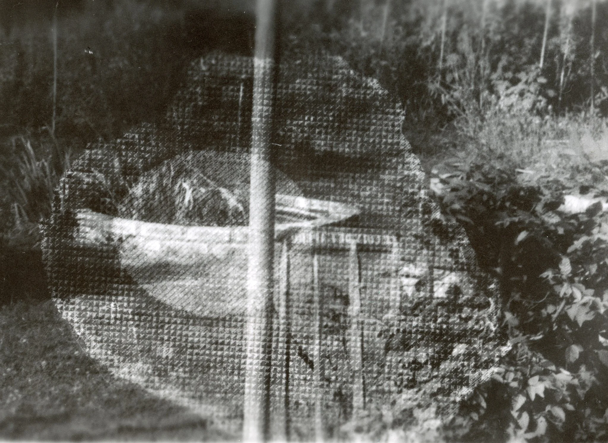 Une photo en noir et blanc d'une véranda ou d'une serre avec des plantes à l'intérieur. Vue de l'extérieur à travers une fenêtre ou une grille.