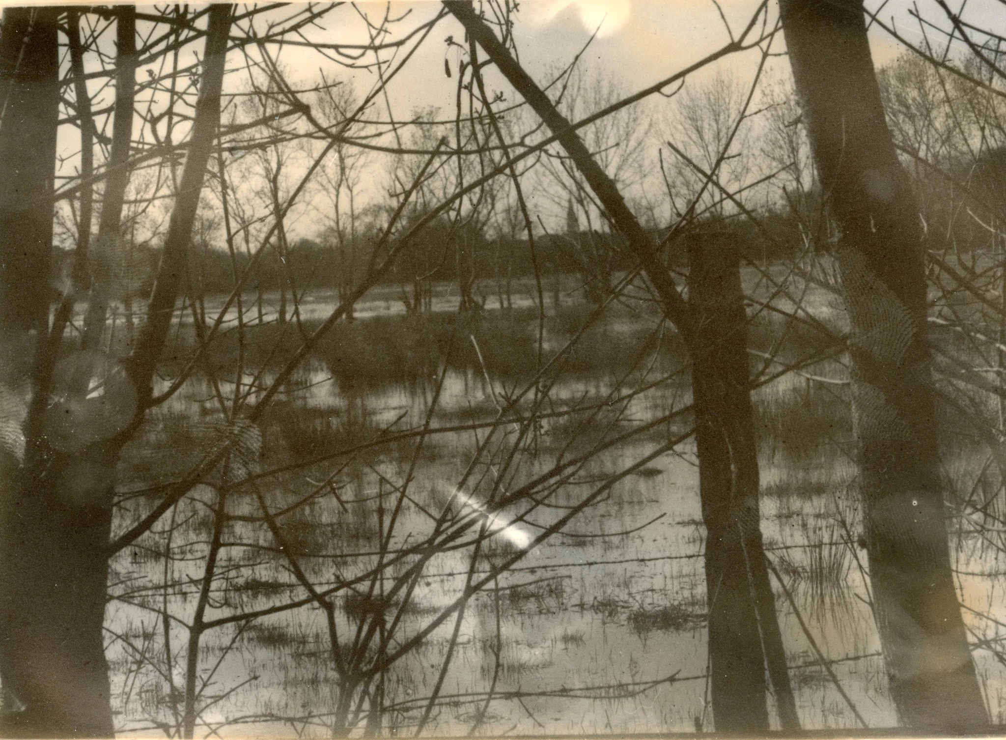 Paysage hivernal avec des arbres nus et un étang ou une rivière partiellement gelée ou peu profonde dans un environnement naturel en noir et blanc.