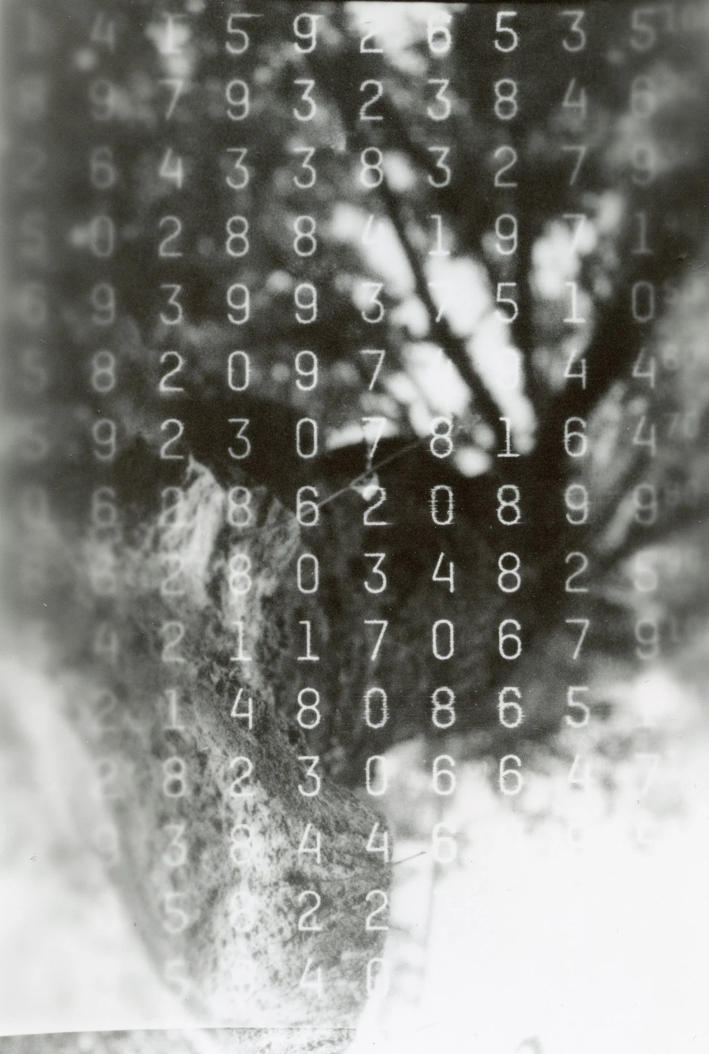 Photo en noir et blanc avec des nombres blancs superposés sur une image d'une personne âgée, probablement une femme, avec une tête de profil.