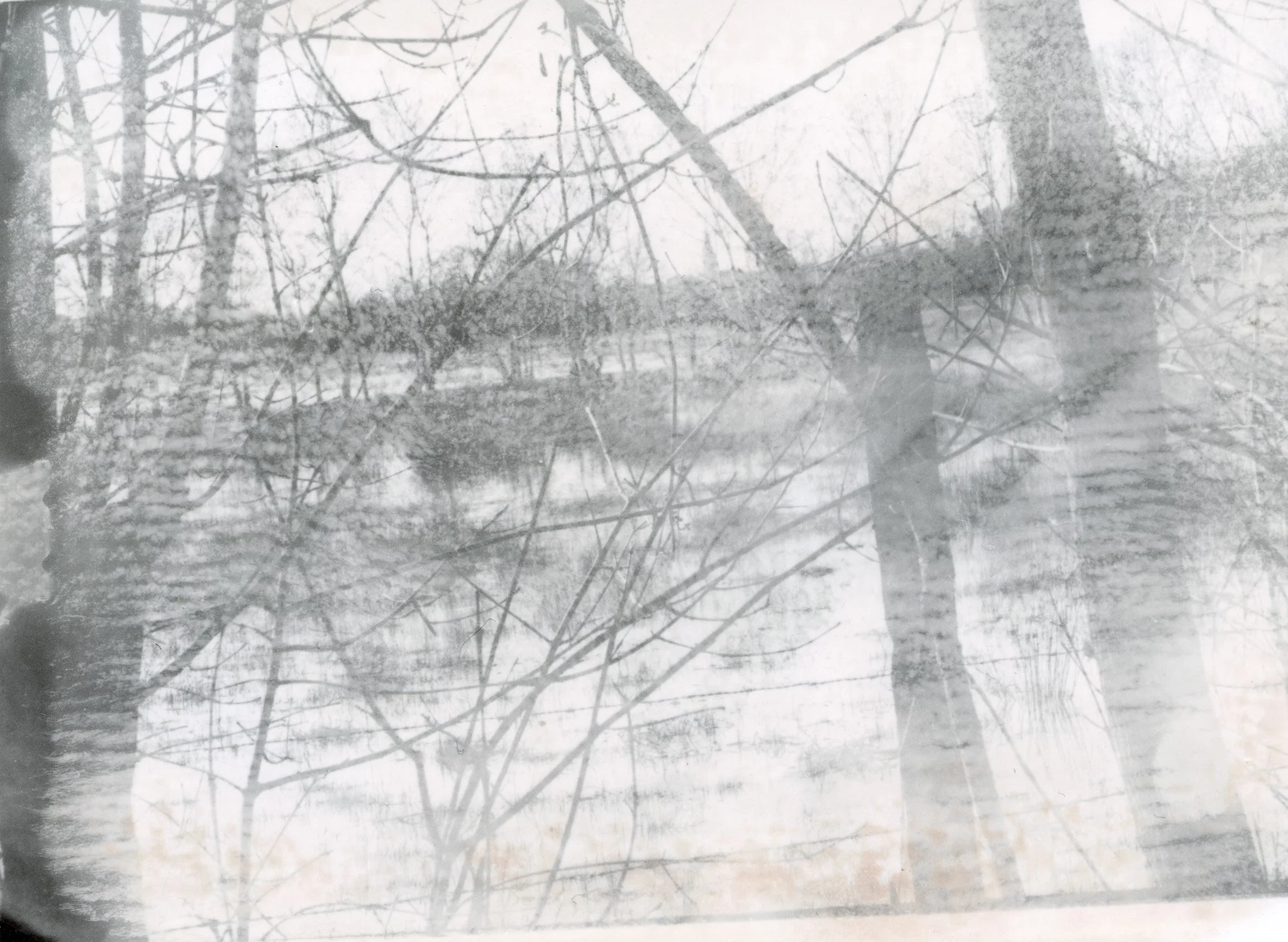 Photo en noir et blanc d'une scène de nature avec des arbres et un corps d'eau, probablement une rivière ou un étang, avec un environnement calme et naturel.