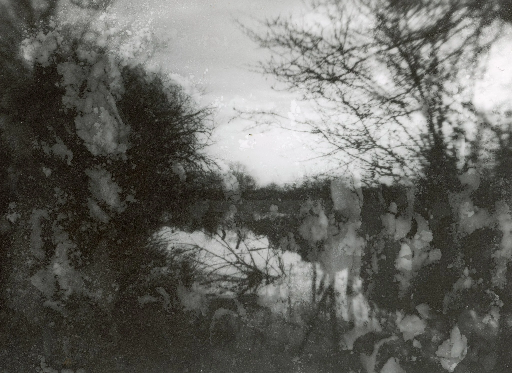 Une vue d'une nature enneigée avec des arbres dénudés et un ciel nuageux, vue à travers une vitre sale ou givrée, avec des traces de condensation ou de saleté.
