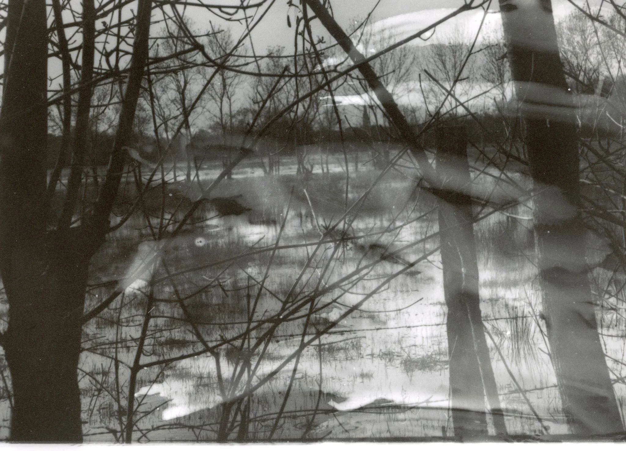 Une scène hivernale avec des arbres sans feuilles, un lac ou une rivière gelée, et un paysage recouvert de neige, vue à travers une surface vitrée ou en double exposition.