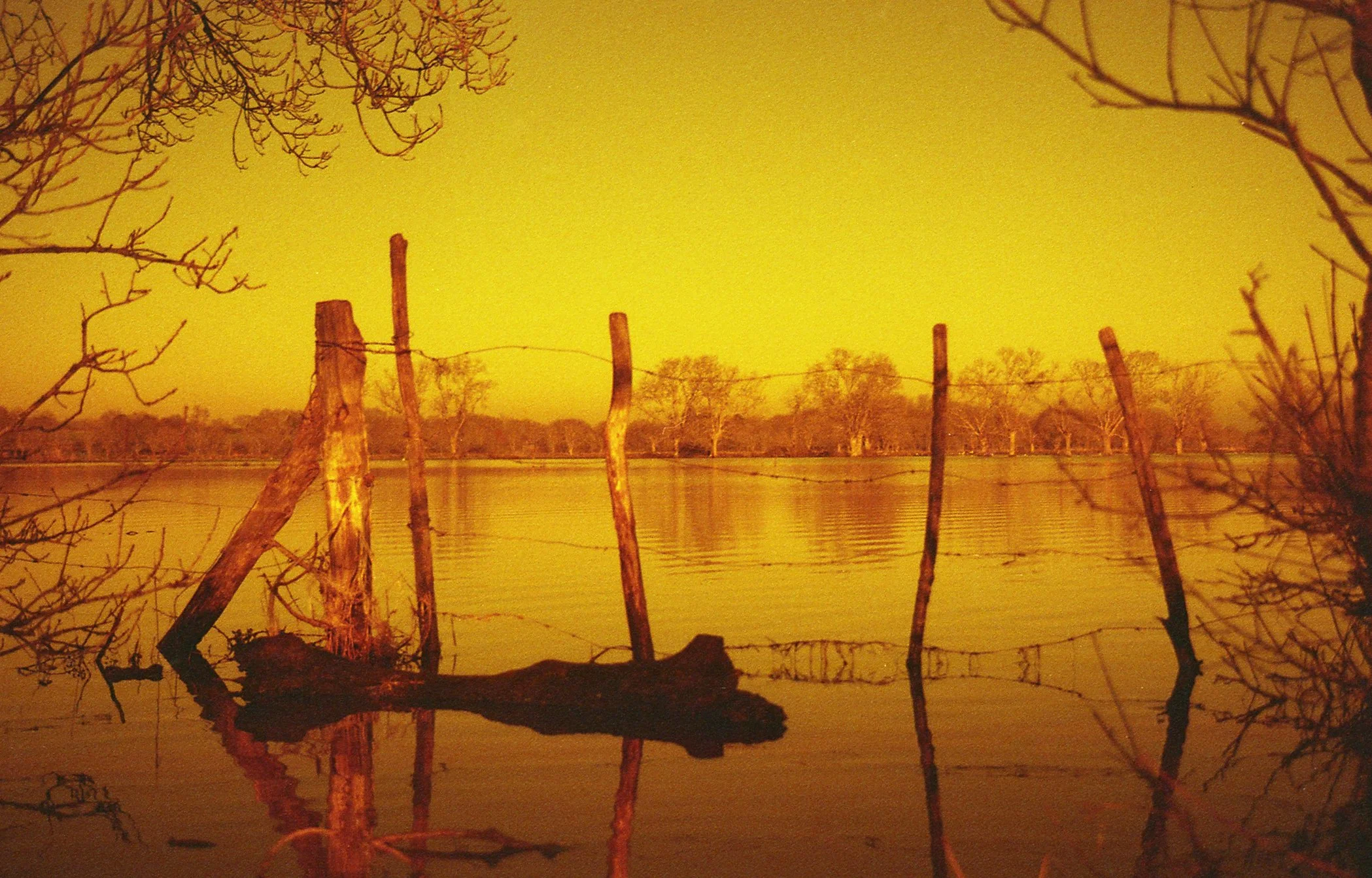 Un champs inondé avec des arbres dénudés en arrière-plan et un vieux poteau en bois avec du fil de fer barbelé au premier plan, le tout sous une lumière dorée ou jaune, peut-être au coucher du soleil.