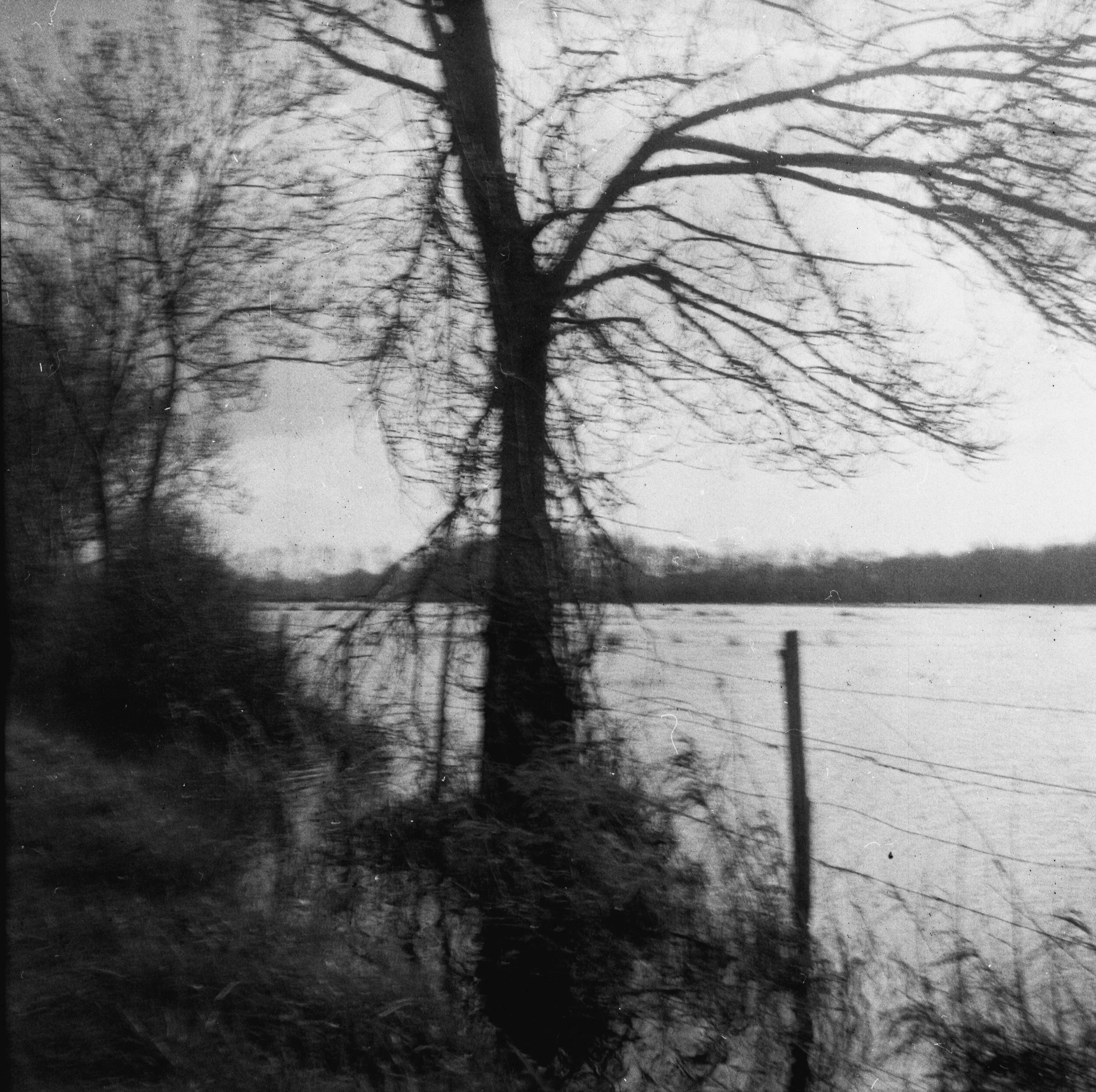 Un arbre sans feuilles près d'un plan d'eau avec un ciel nuageux, photo en noir et blanc.