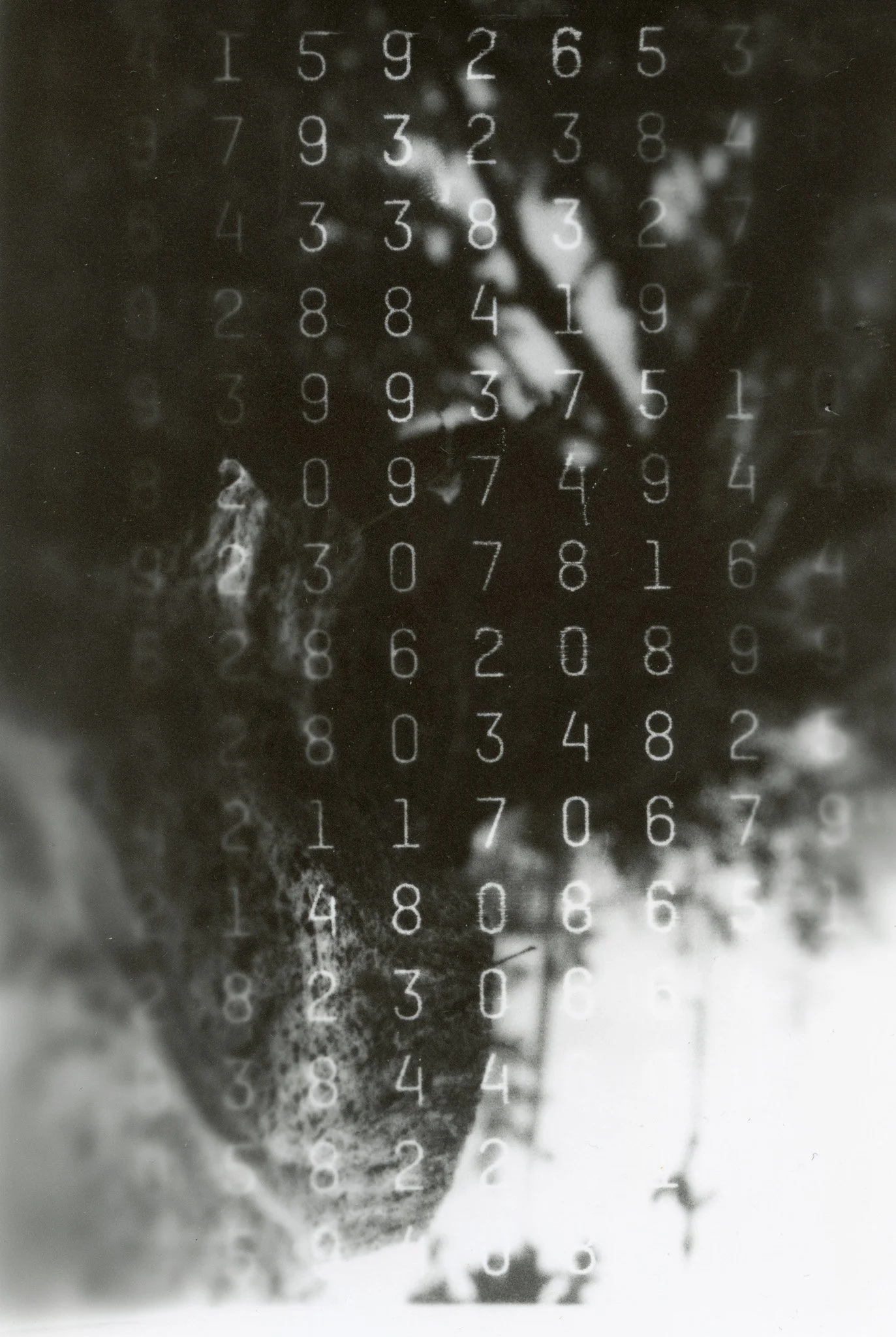 Photo en noir et blanc d'une jeune femme regardant vers la droite, avec un arbre en arrière-plan et des chiffres en surimpression.