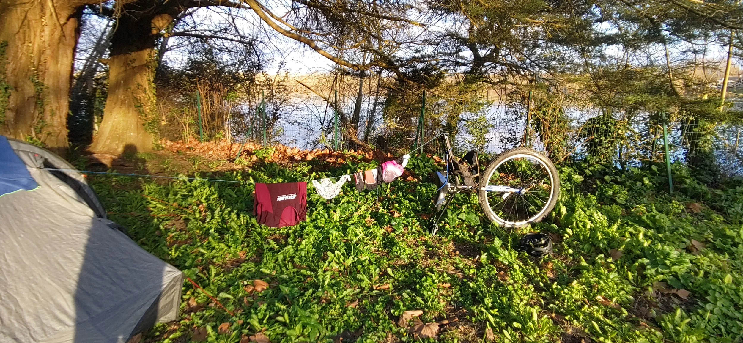 Tente de camping en forêt avec un monocycle appuyé contre la végétation, des vêtements suspendus pour sécher, et un lac visible en arrière-plan avec des arbres au bord.