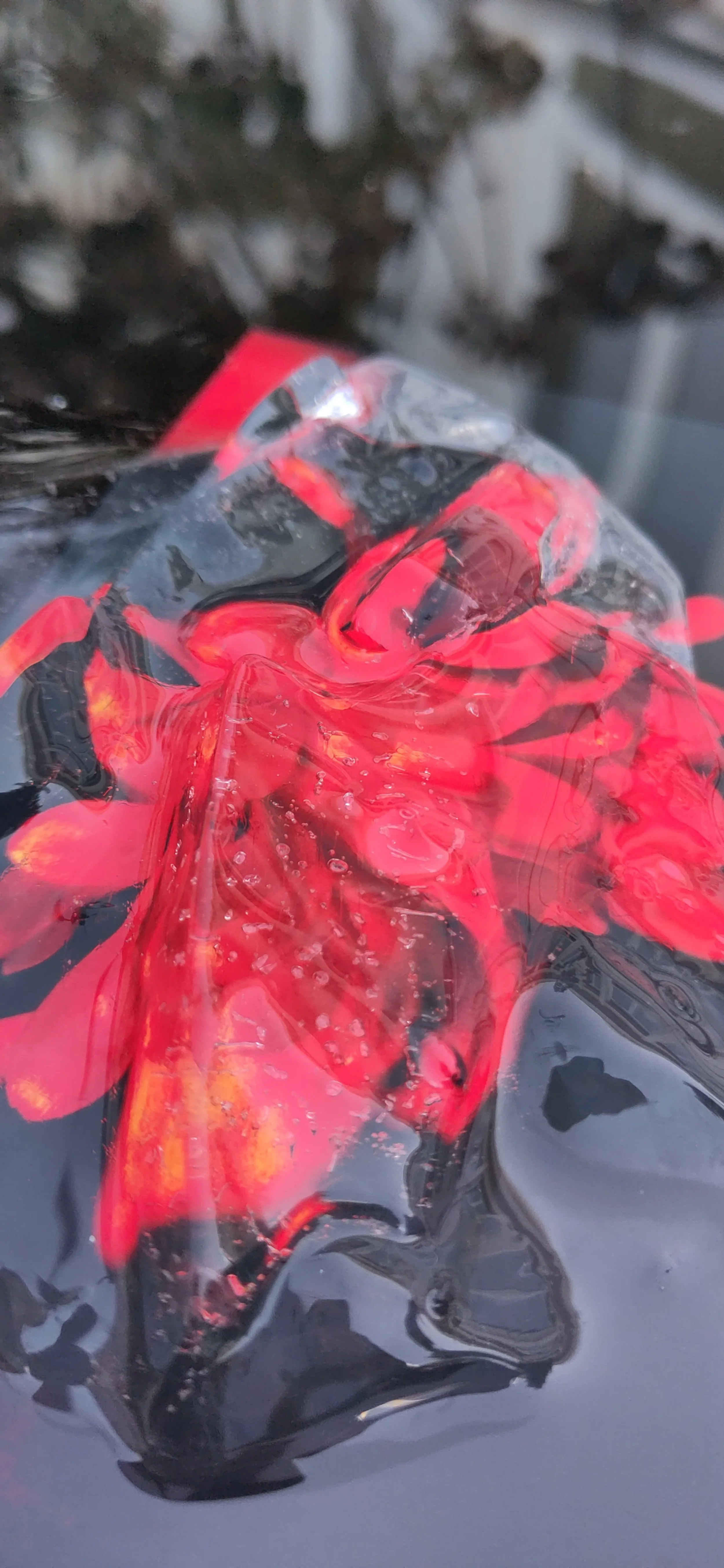 Objet rouge et noir enveloppé dans un film plastique transparent, posé sur une surface noire.