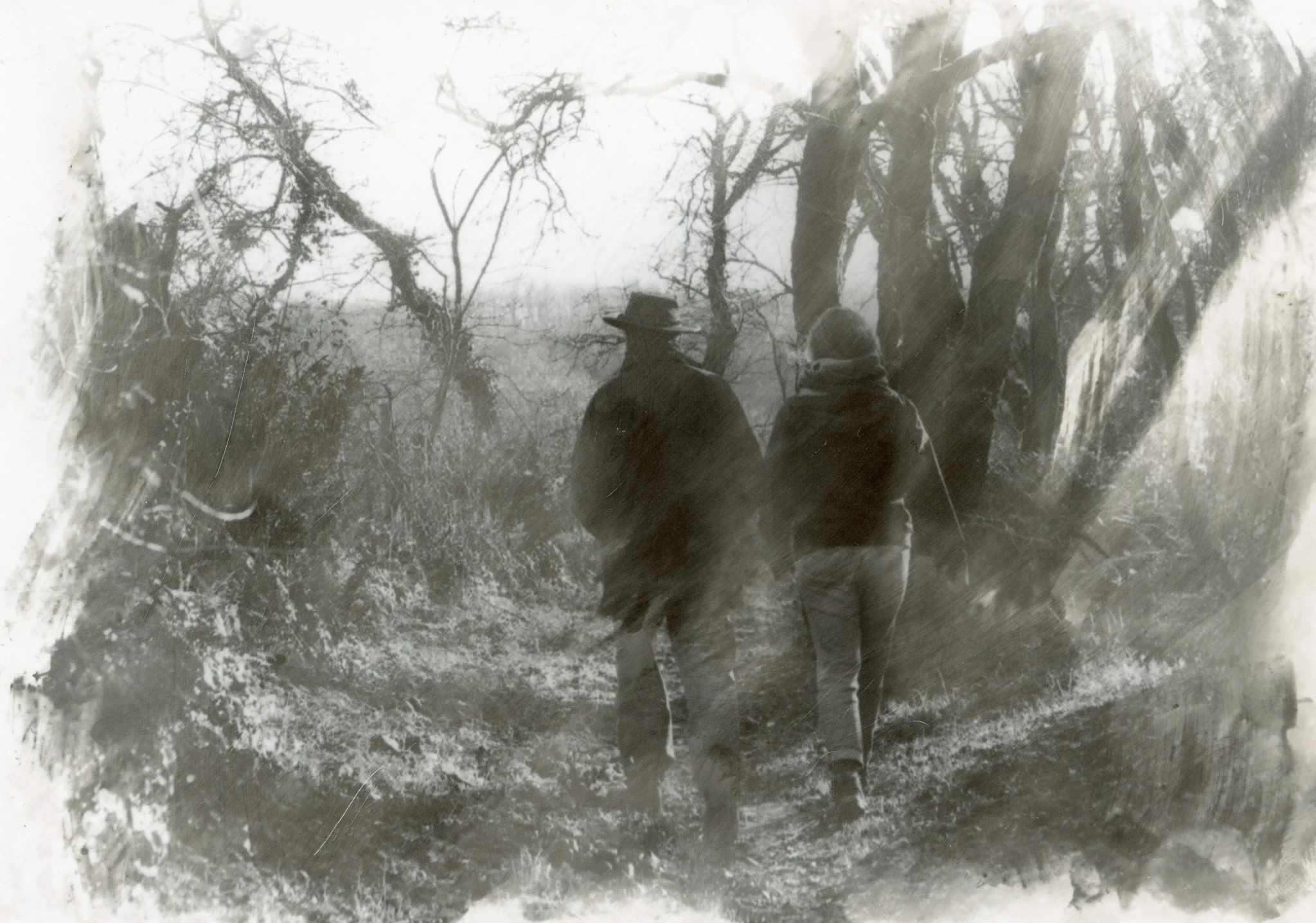 Deux personnes marchant dans une forêt dénudée, vues de dos, avec des arbres sans feuilles.