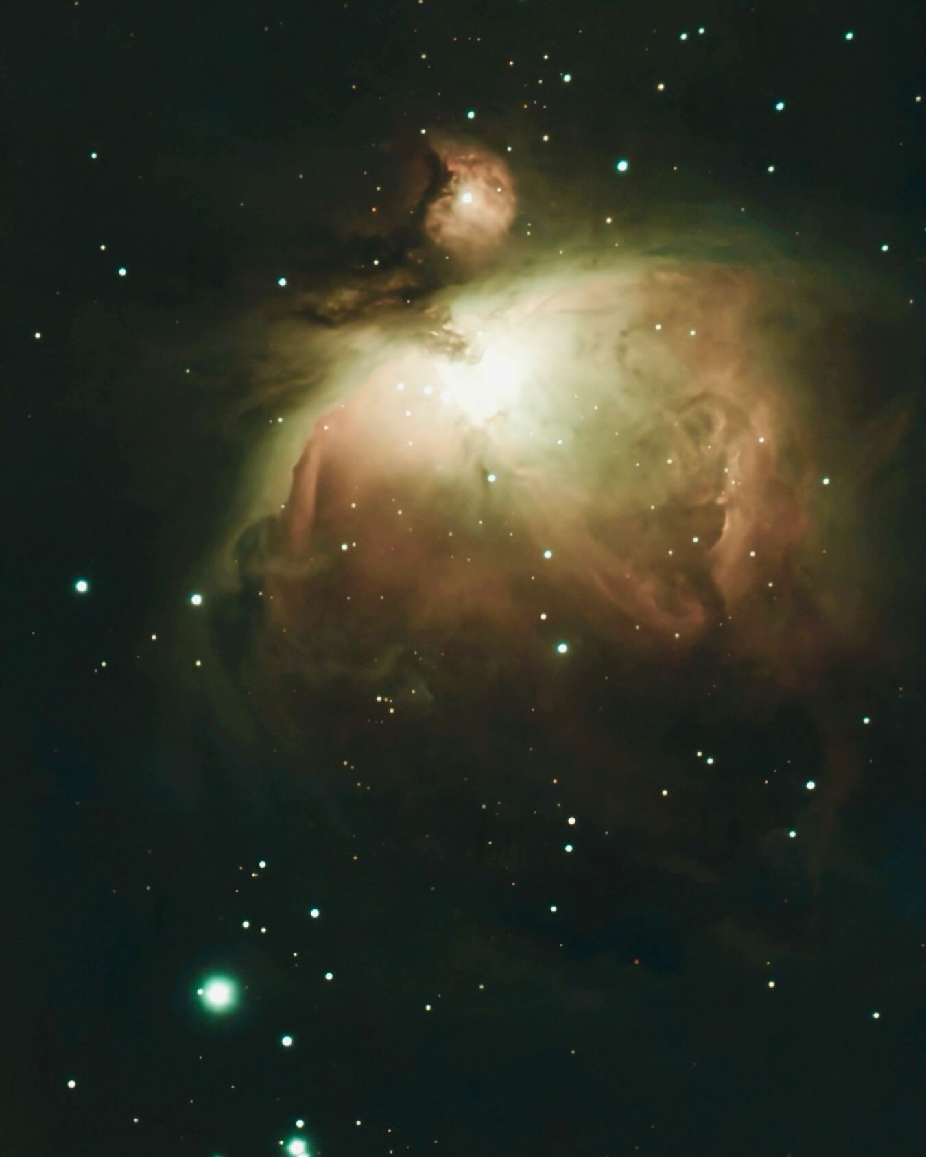 M42: The Orion Nebula