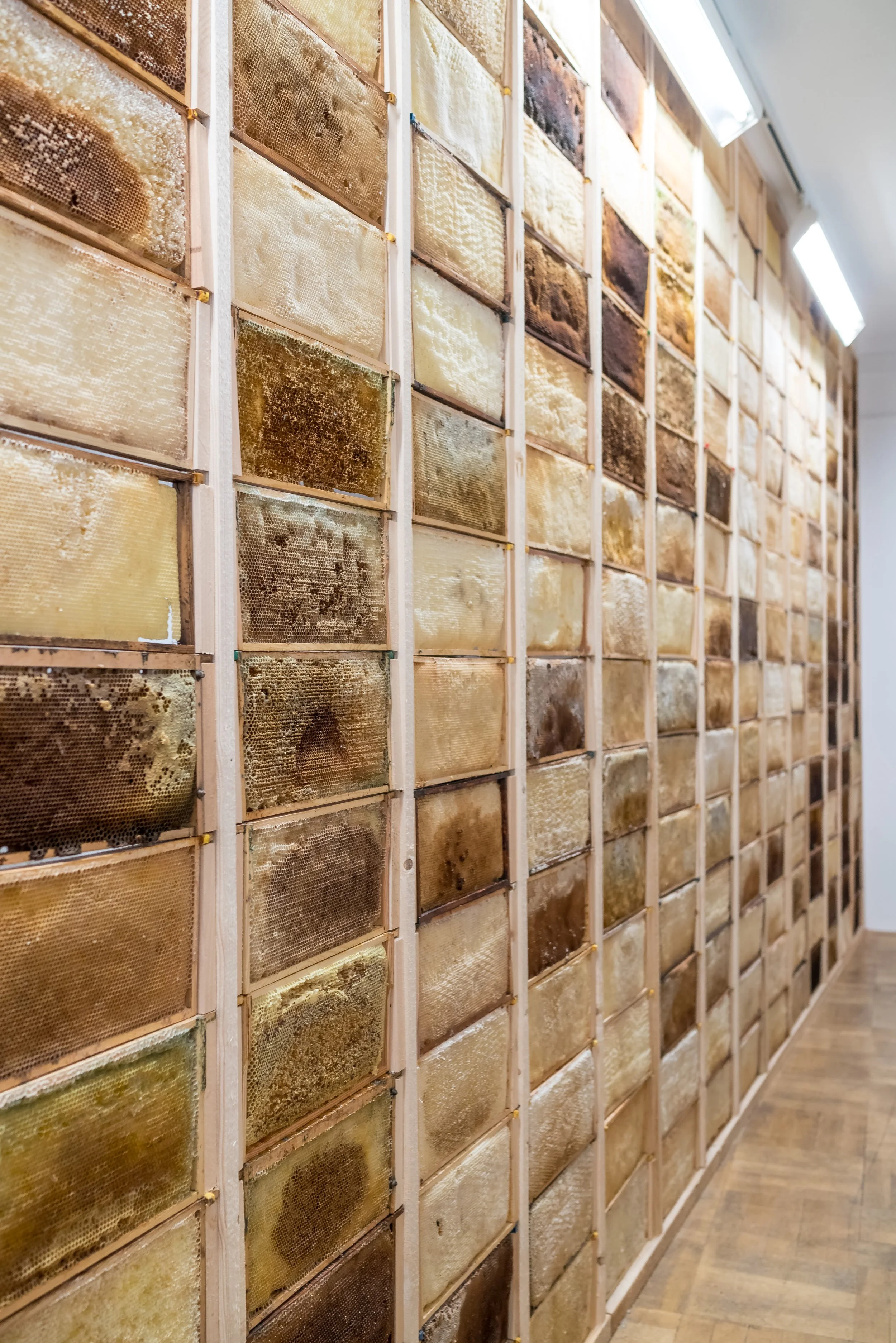 Installation, Wand aus Bienenwaben, Zeitgenössischen Künstlers Eduard Winklhofer, Kunst & Gewerbeverein, 2018