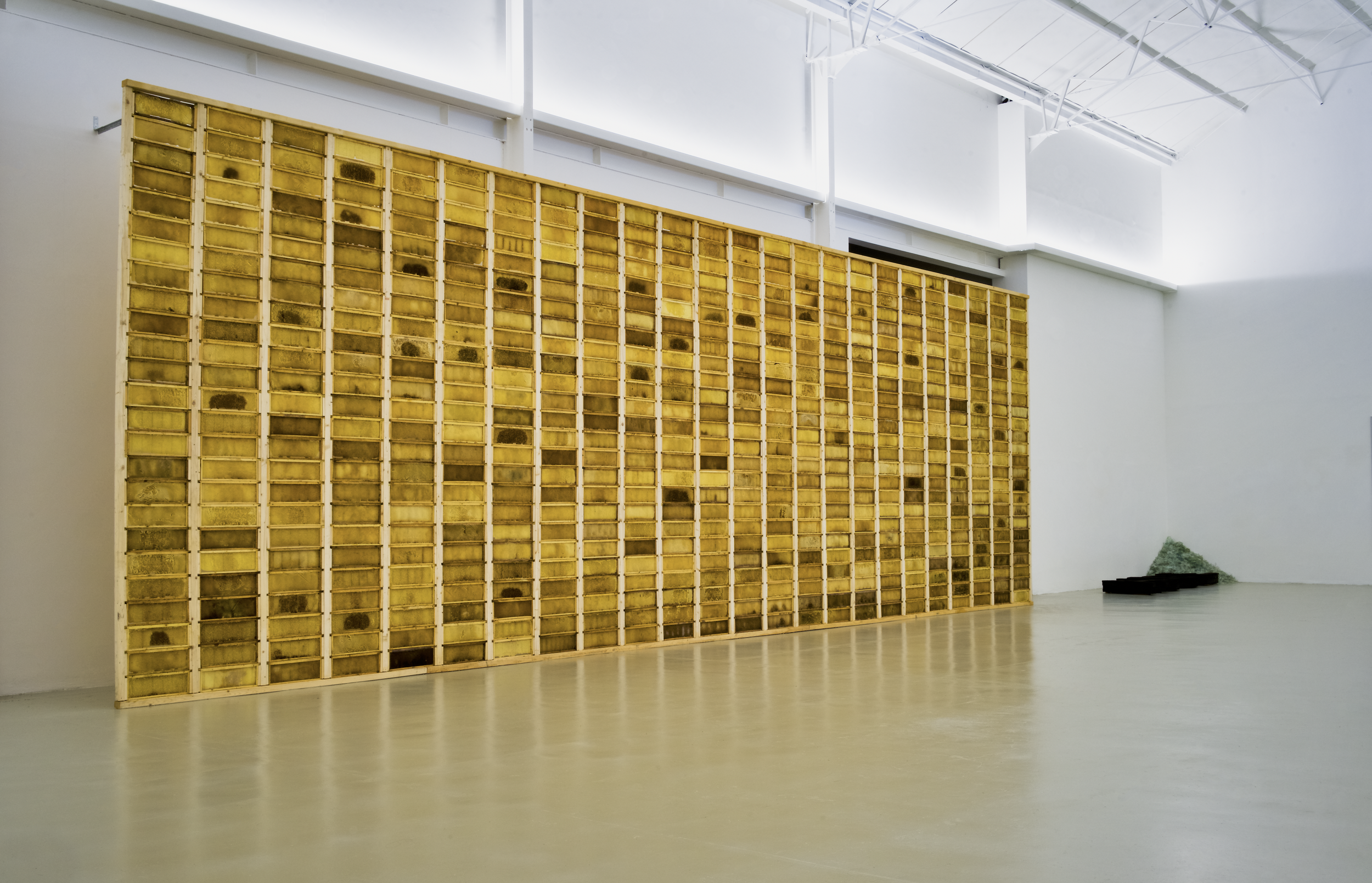 Großes Kunstwerk/Installation, eine Wand aus Bienenwaben und Bienenwachs, Teil der Ausstellung im Museum Camusac in Cassino vom Düsseldorfer Künstler Eduard Winklhofer