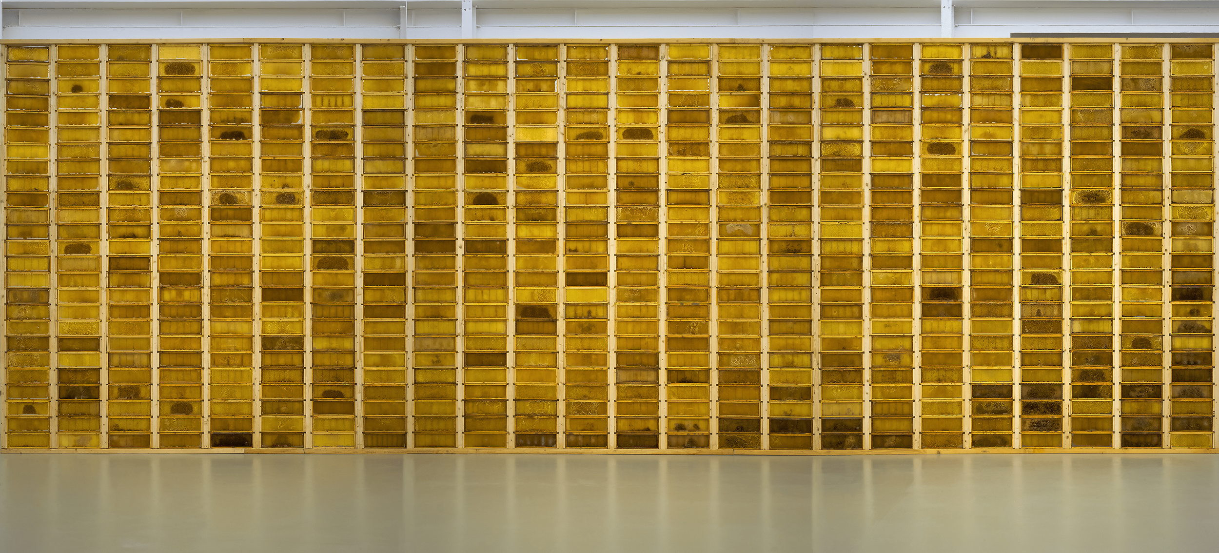 Arbeit ohne Titel, 2022, Bienenwaben 