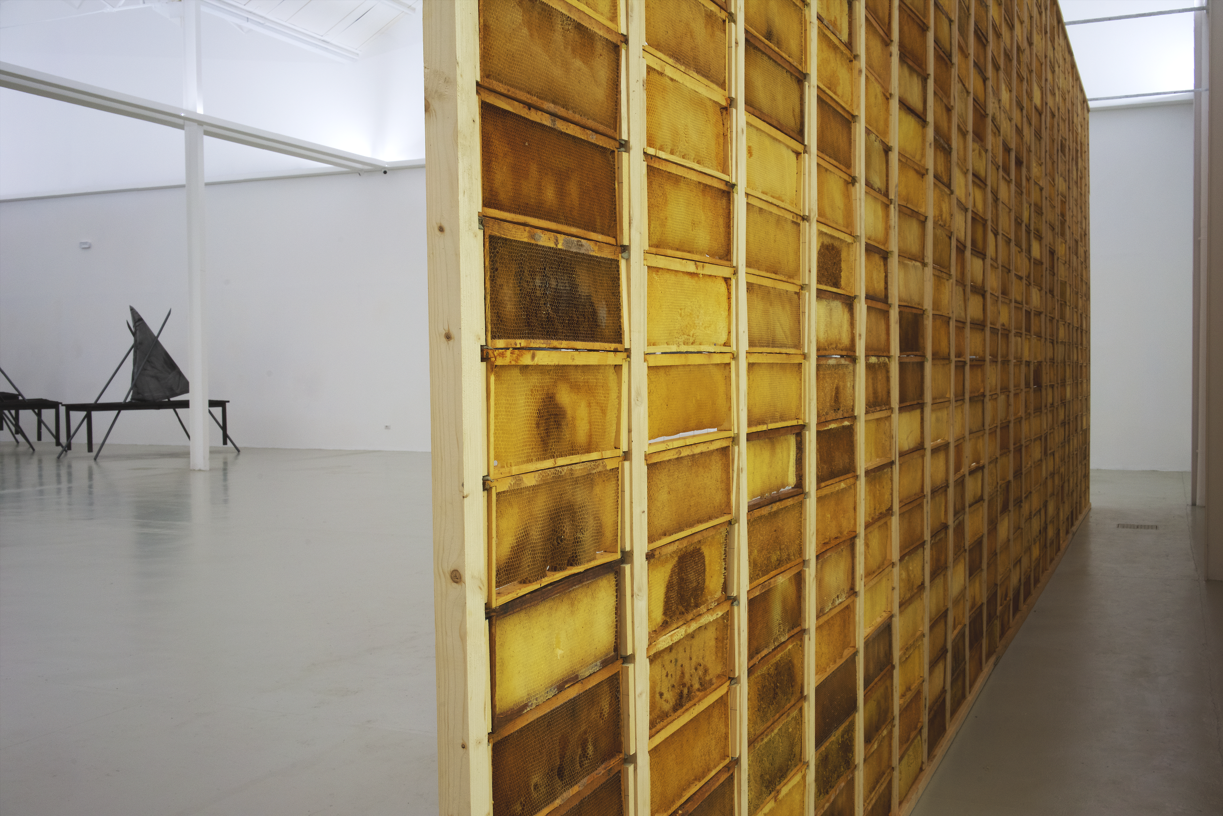 Arbeit ohne Titel, 2022, Bienenwaben 