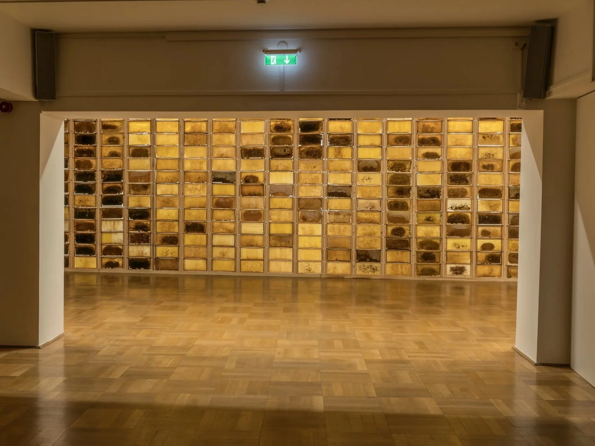 Installation, Wand aus Bienenwaben, Zeitgenössischen Künstlers Eduard Winklhofer, Kunst & Gewerbeverein, 2018