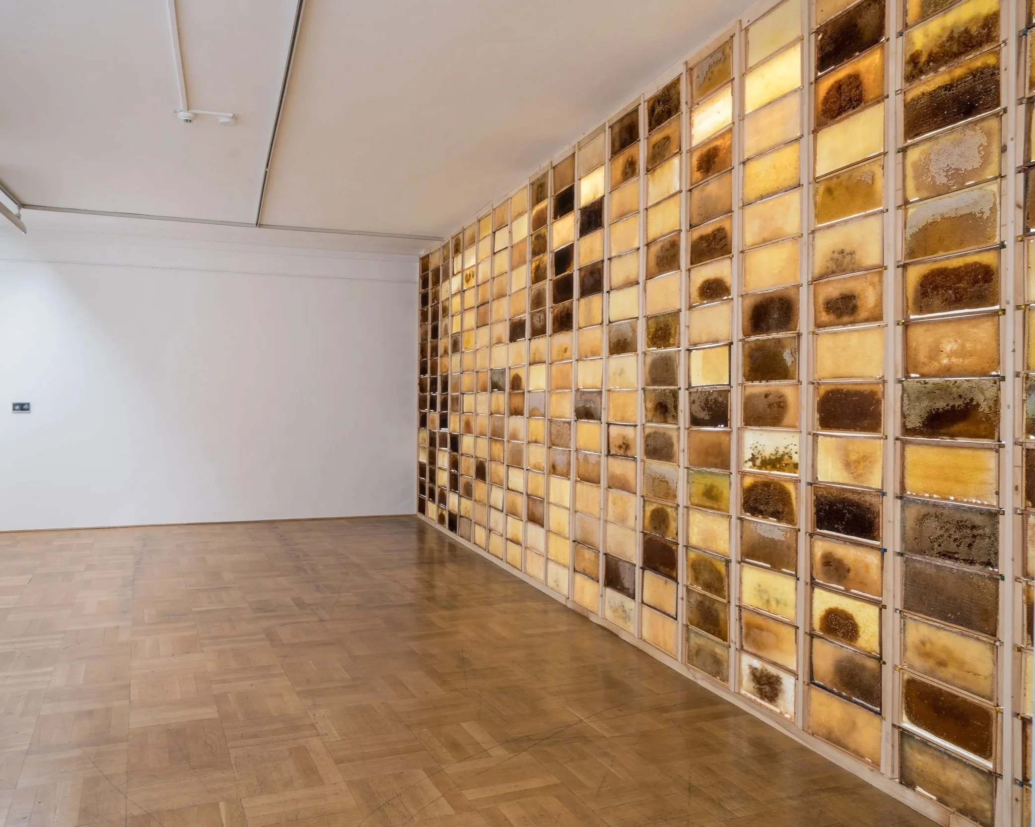Installation, Wand aus Bienenwaben, Zeitgenössischen Künstlers Eduard Winklhofer, Kunst & Gewerbeverein, 2018