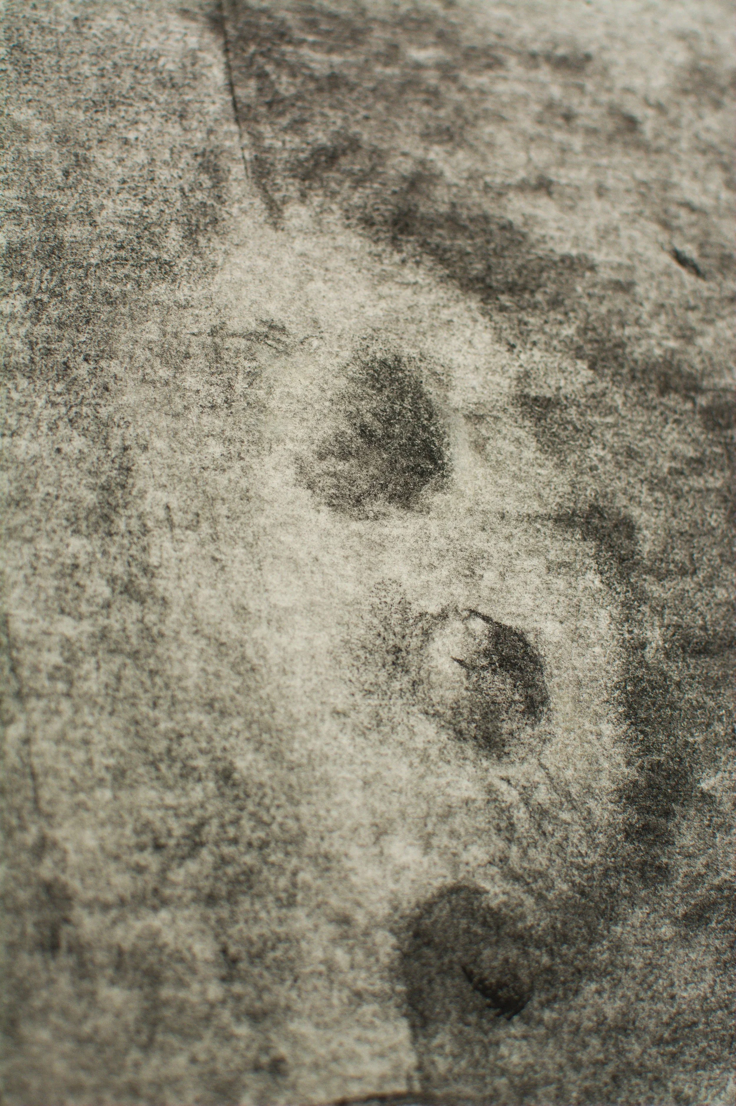 Nahaufnahme, Kunstwerk aktuell, Wandbild, jeweils 70 x 100cm, Graphit & Kohle auf Papier, von zeitgenössischem Düsseldorfer Künstler Eduard Winklhofer, Atelier Düsseldorf