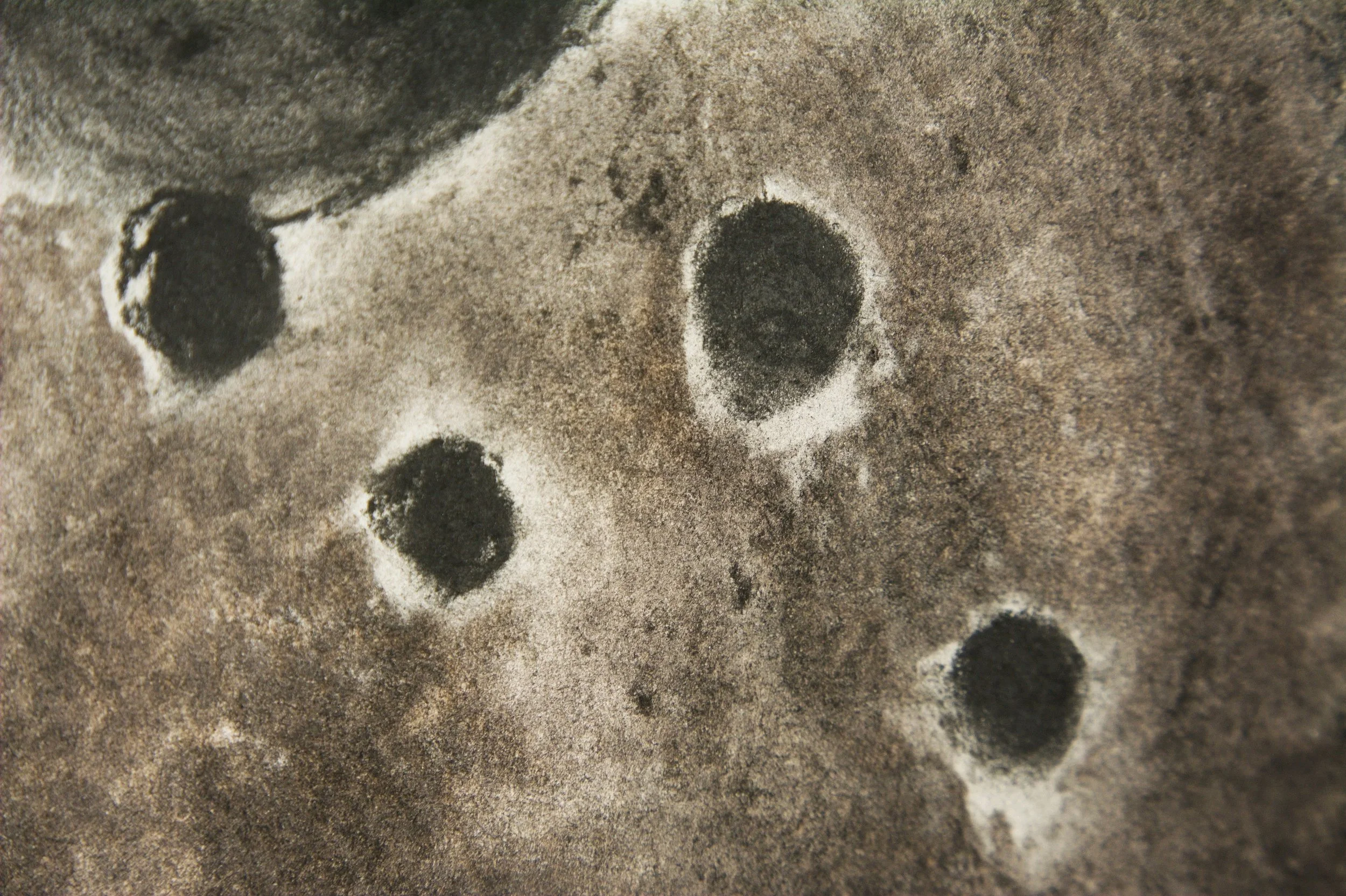 Detail, Kunstwerk aktuell, Wandbild, jeweils 70 x 100cm, Graphit & Kohle auf Papier, von zeitgenössischem Düsseldorfer Künstler Eduard Winklhofer, Atelier Düsseldorf