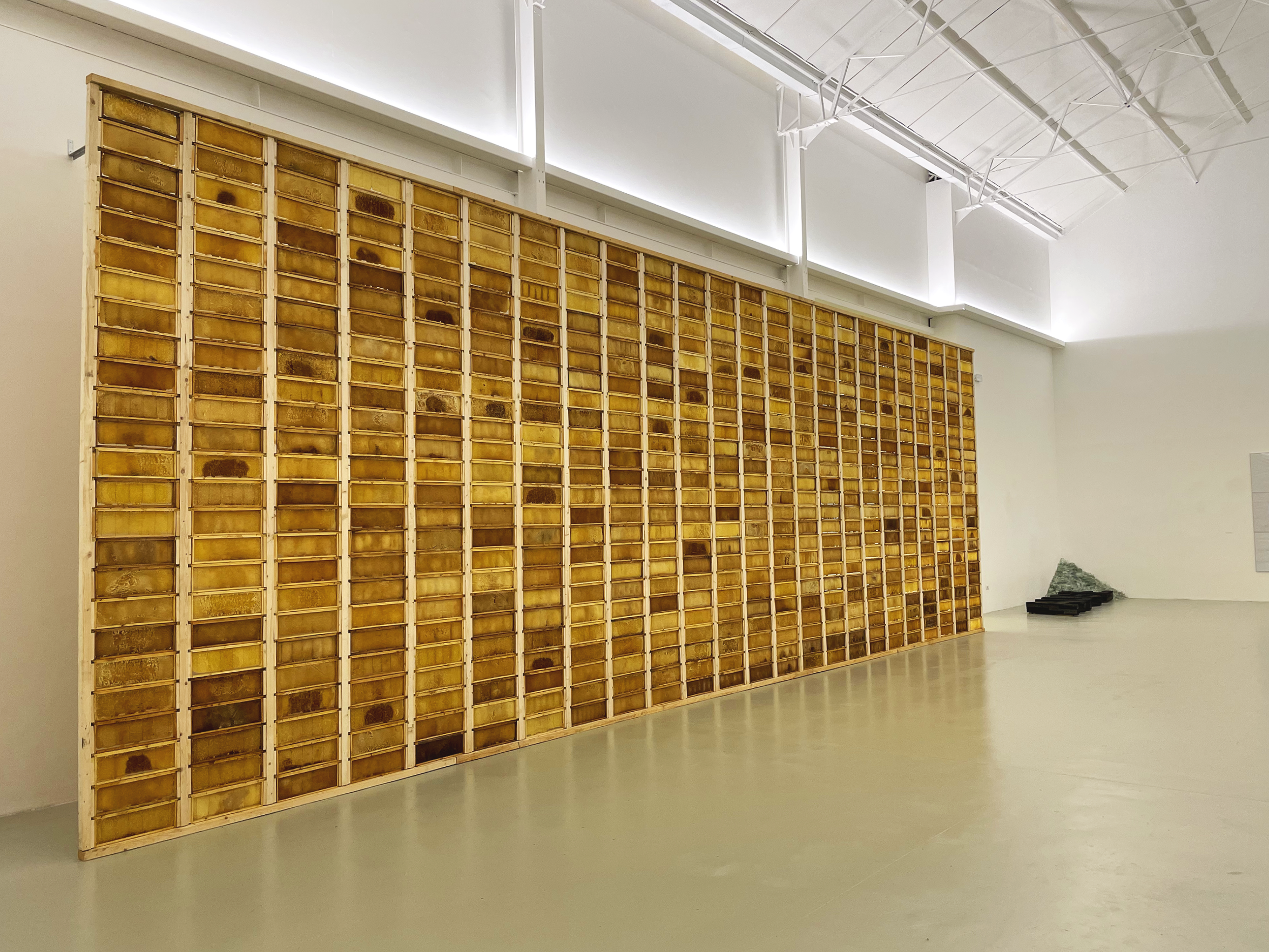 Museum Camusac, Cassino